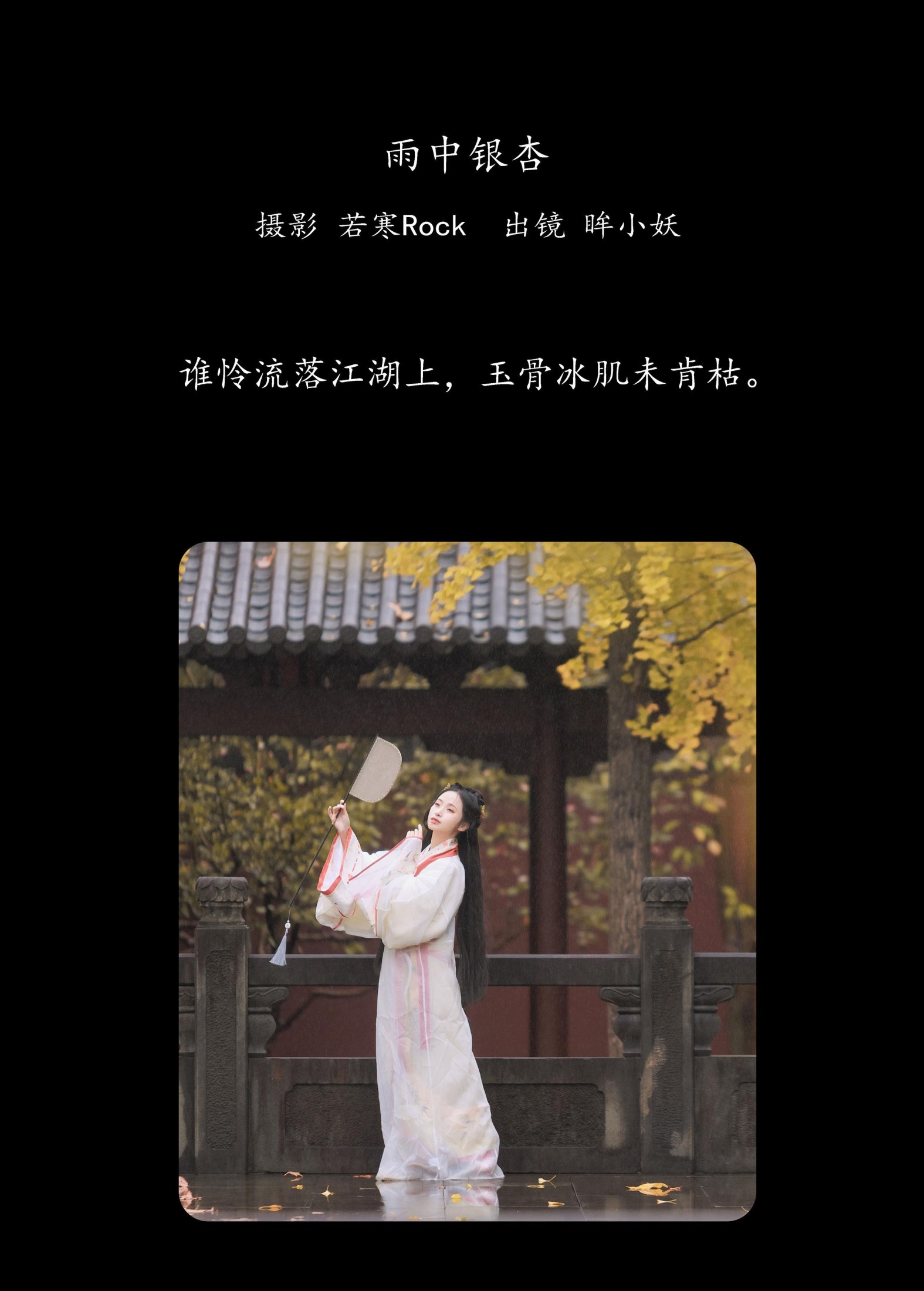 眸小妖 – 《雨中银杏》[24P]