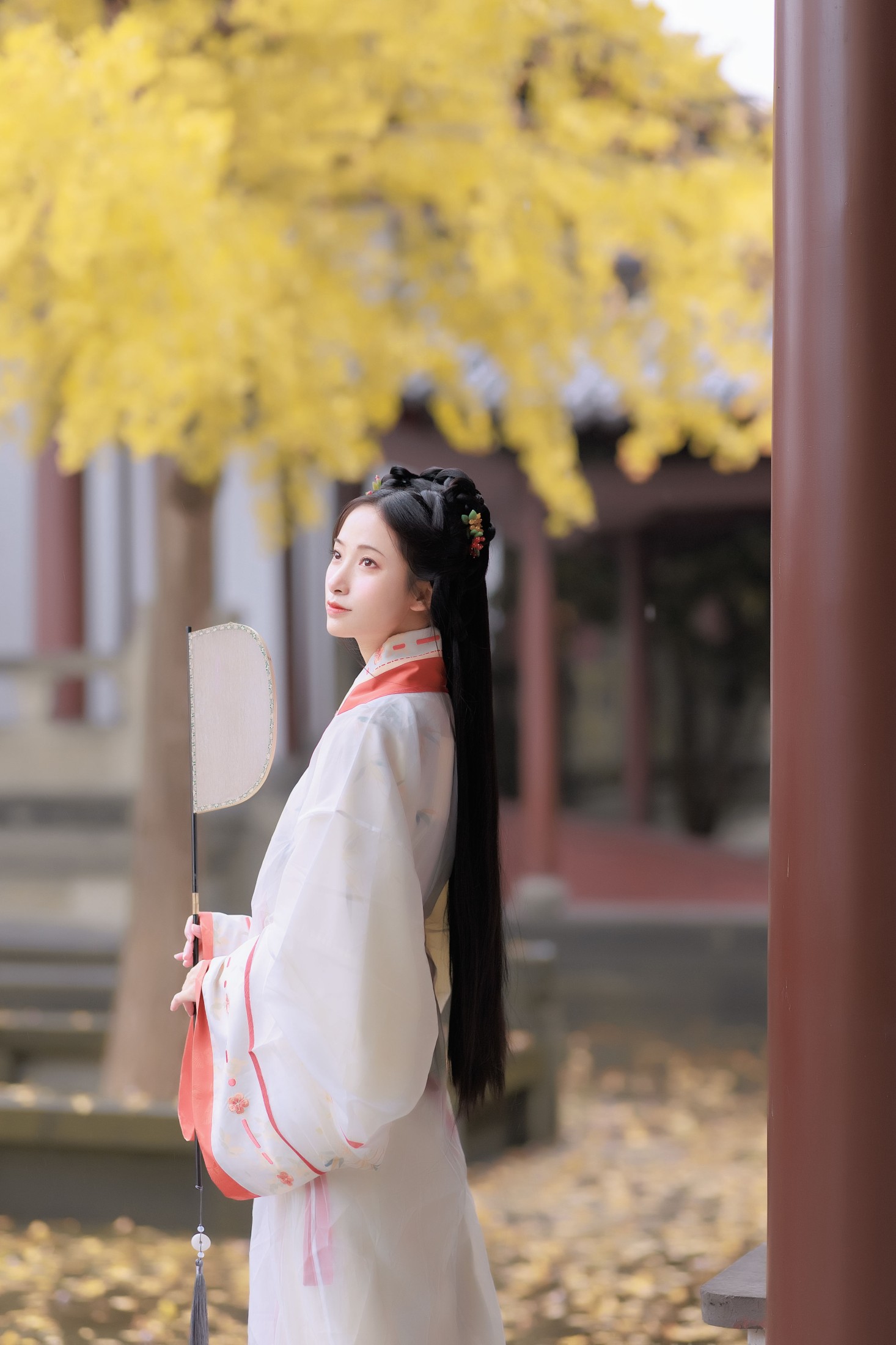 眸小妖 – 《雨中银杏》[24P]