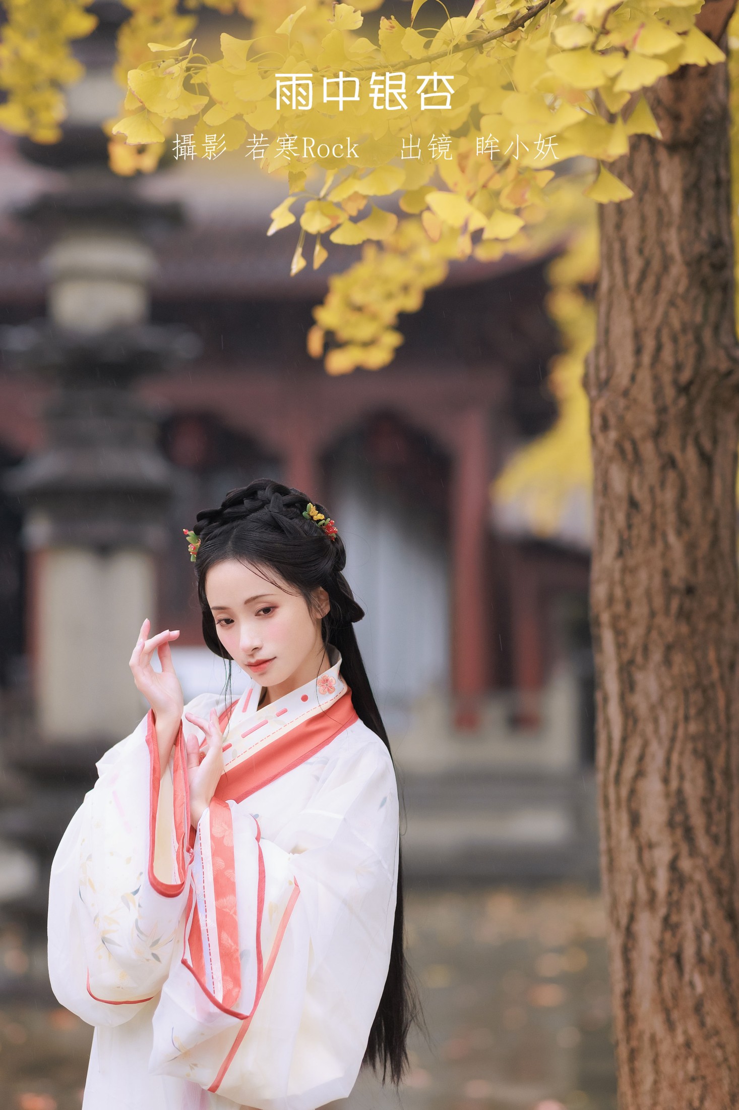 雨中银杏