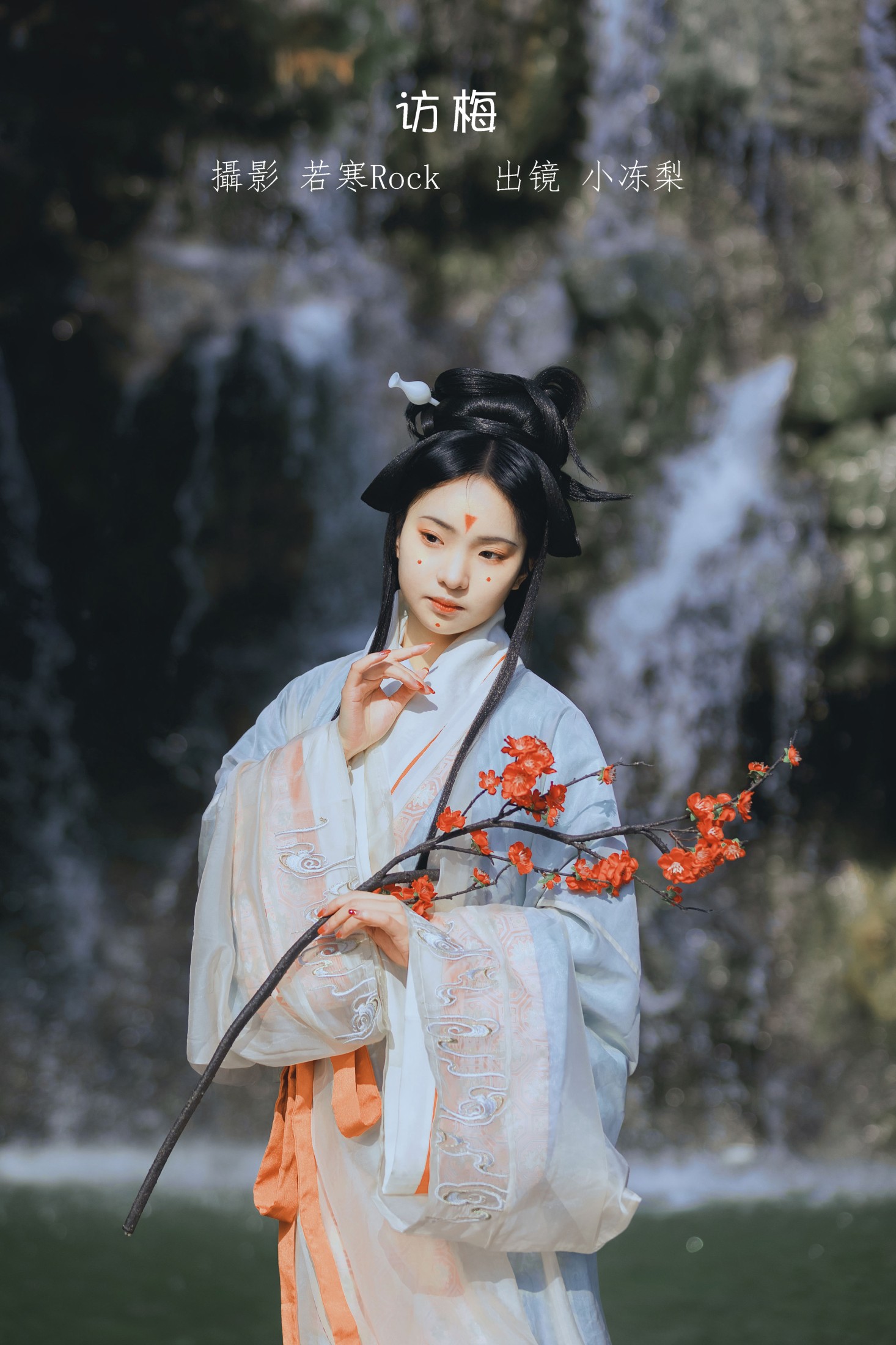 访梅