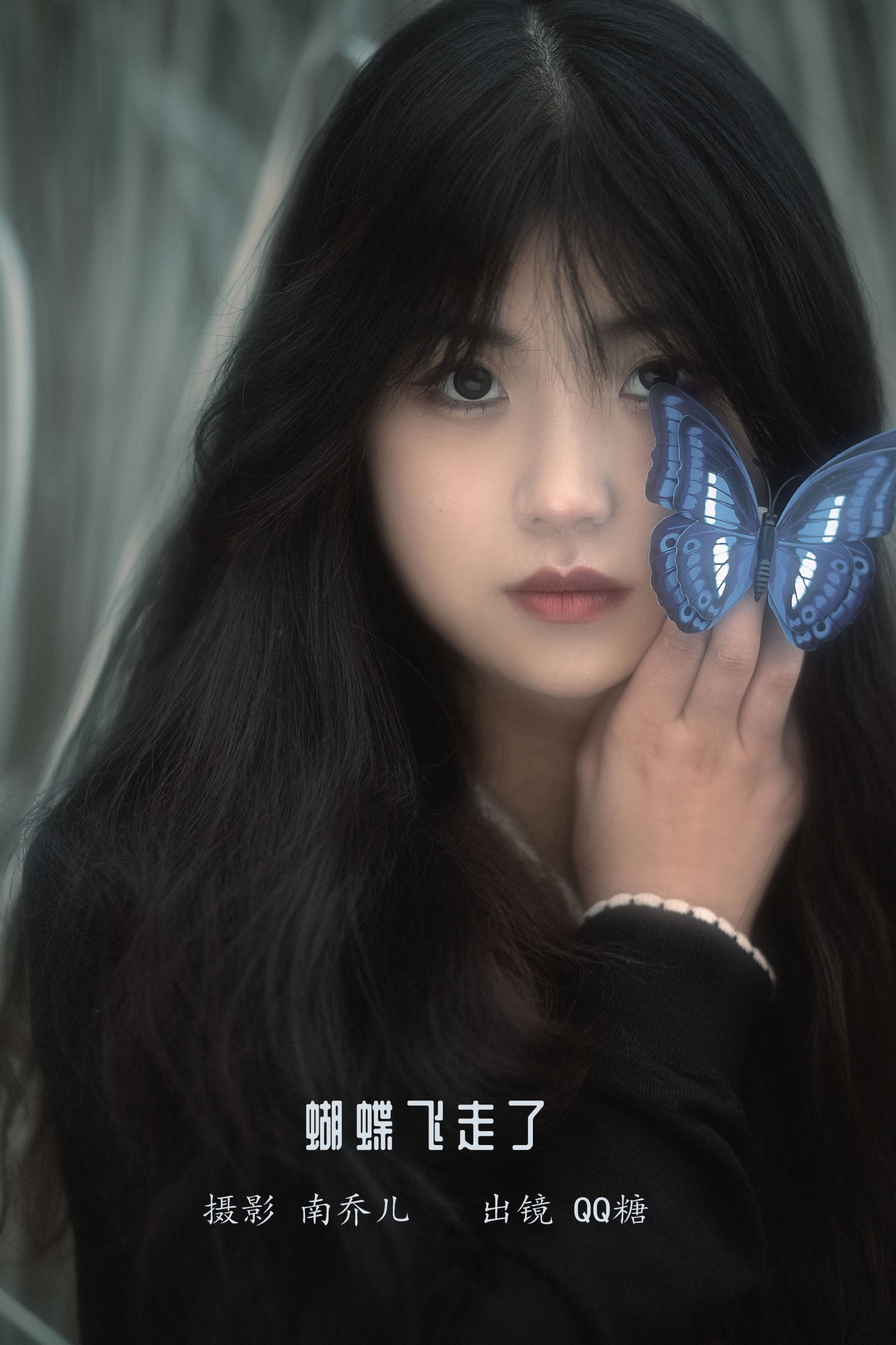 蝴蝶飞走了