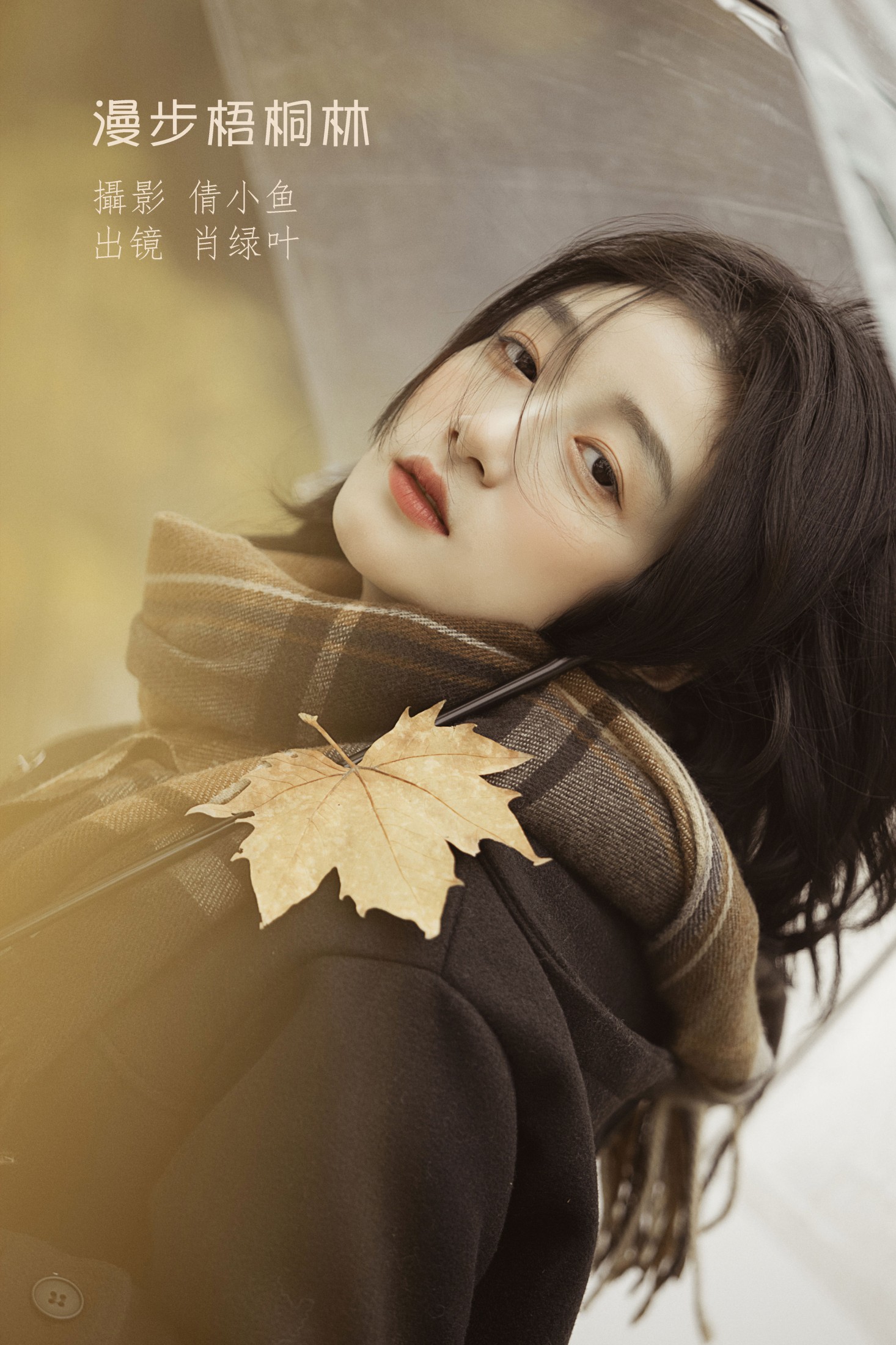 漫步梧桐林