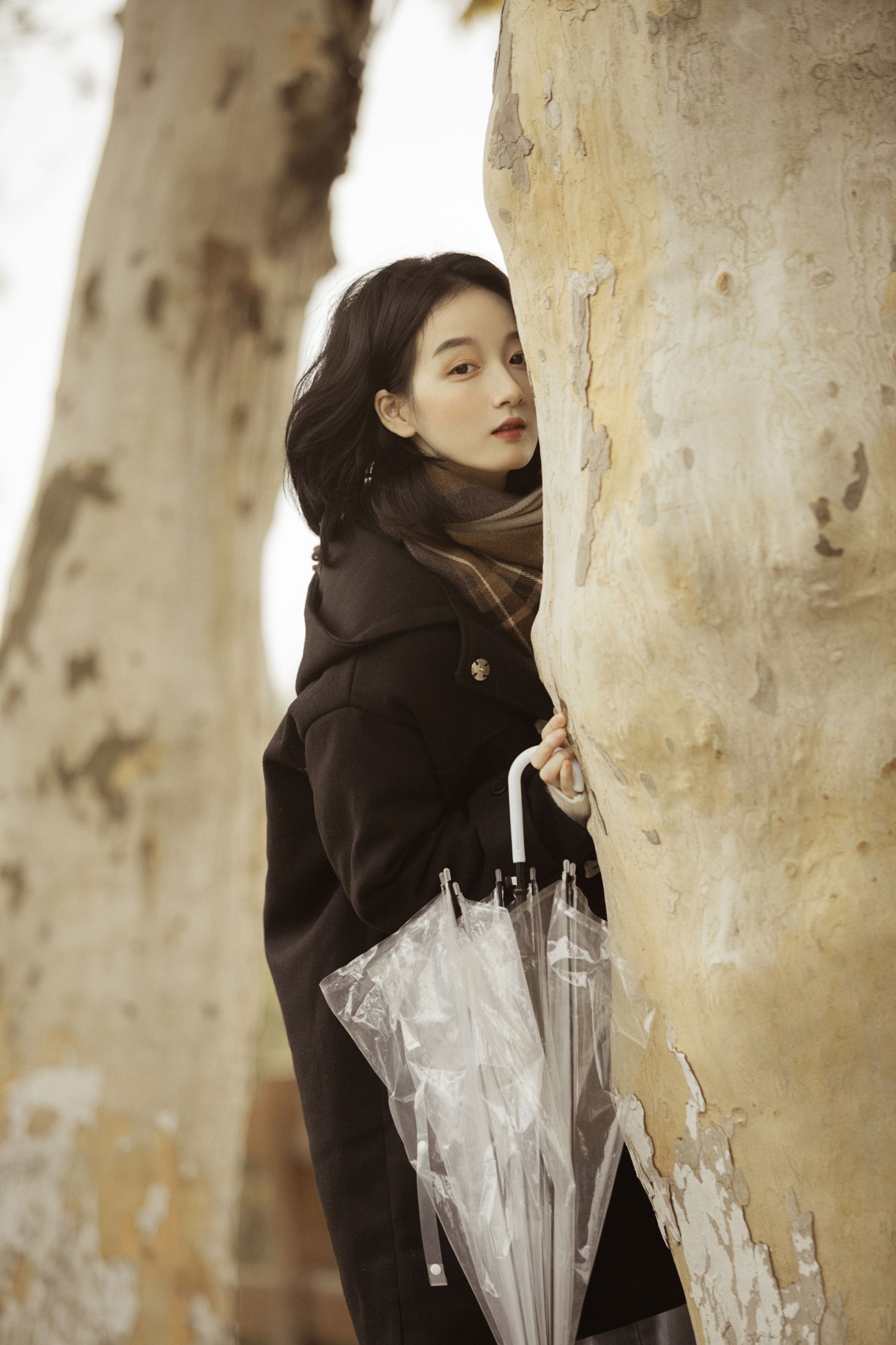 肖绿叶 – 《漫步梧桐林》[26P]