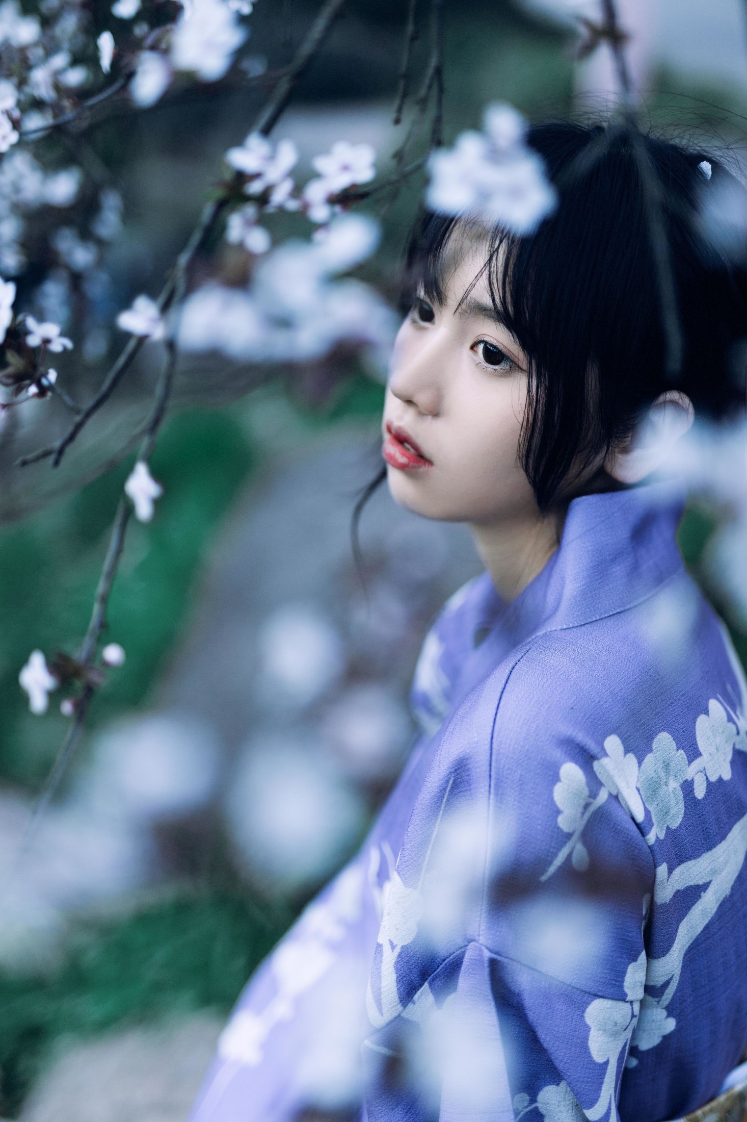 林木婷子 – 《懒樱》[24P]