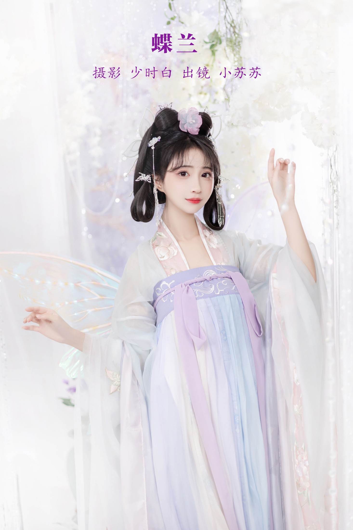 蝶兰
