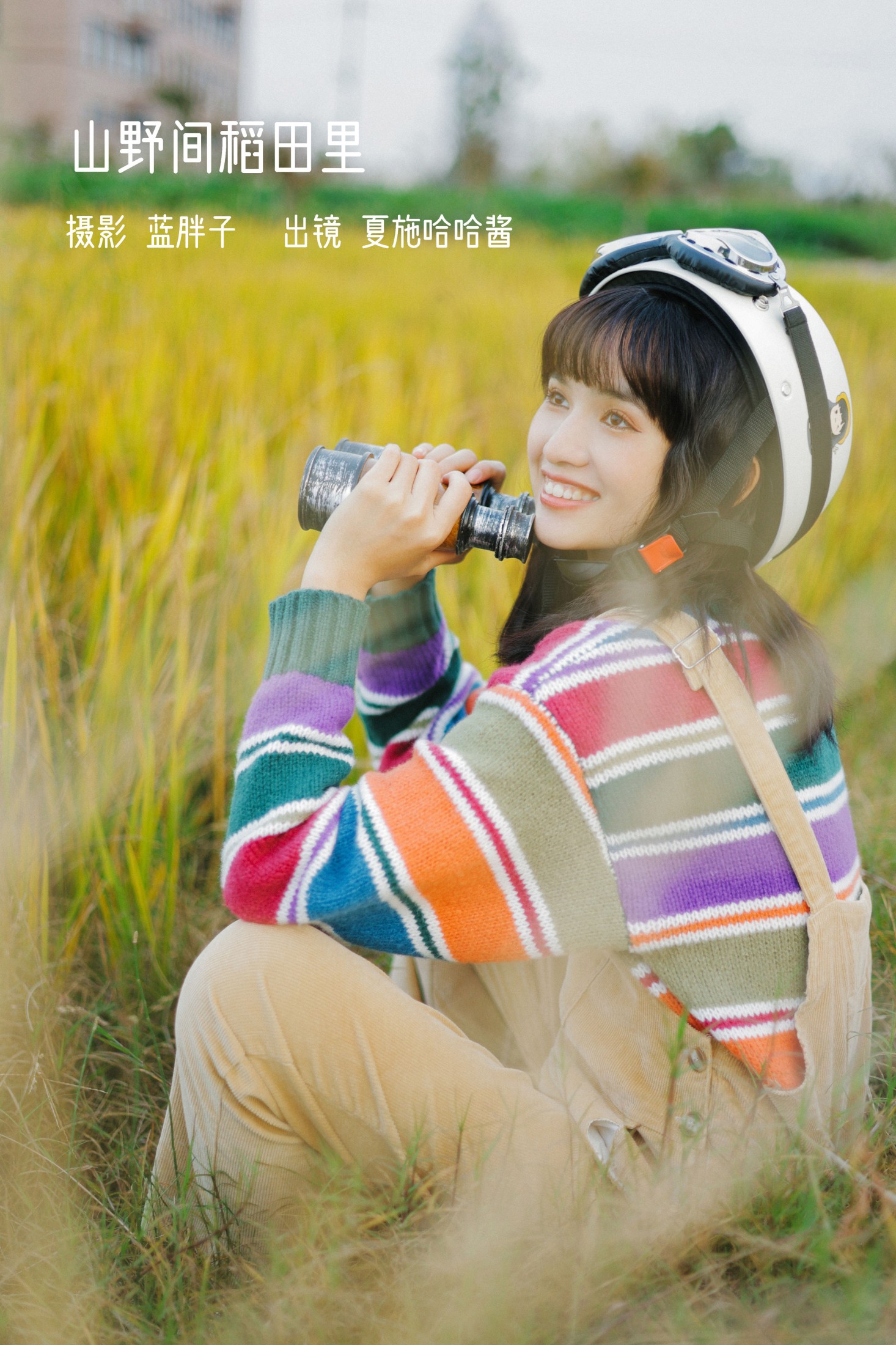 山野间稻田里