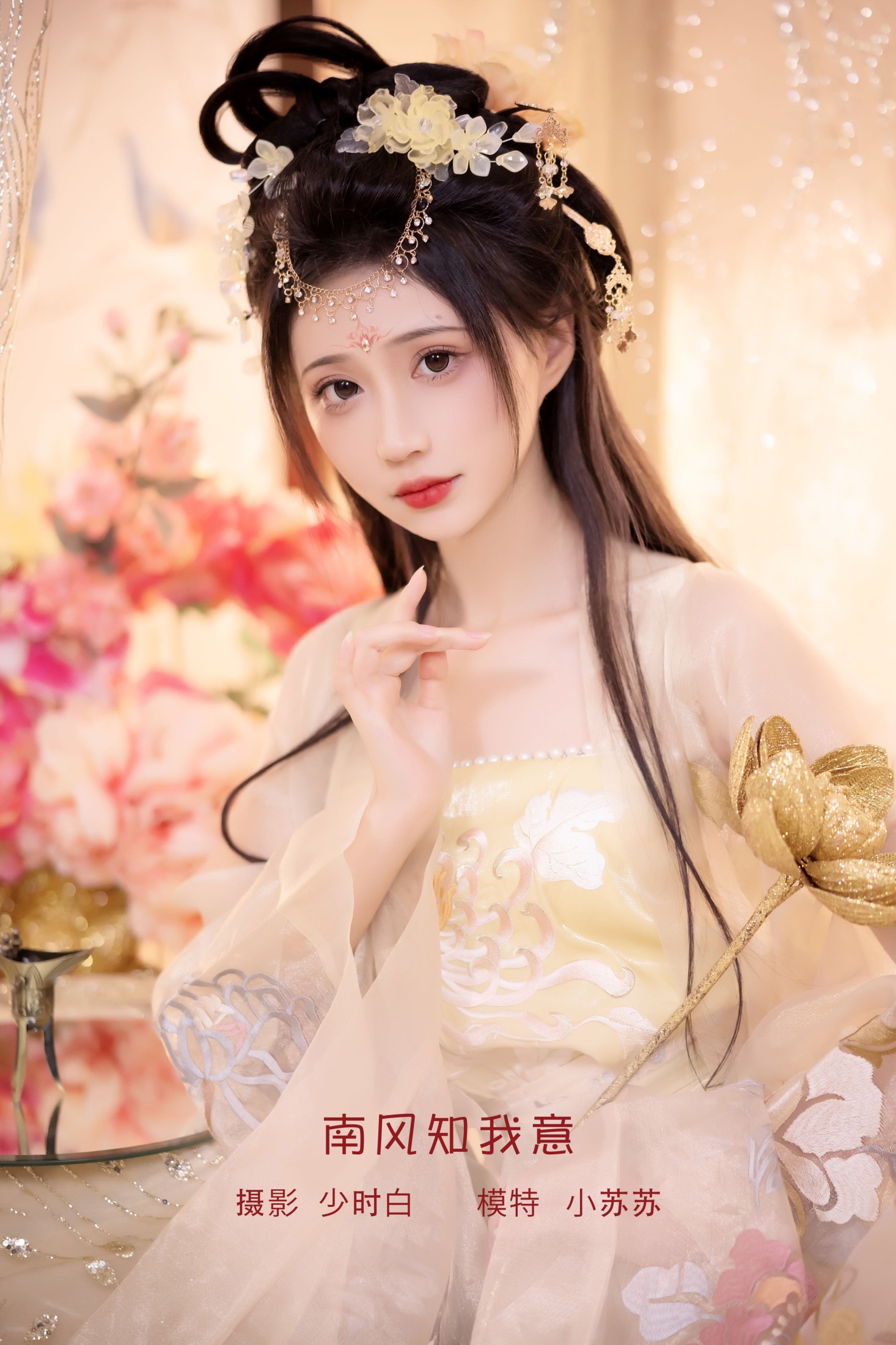 南风知我意