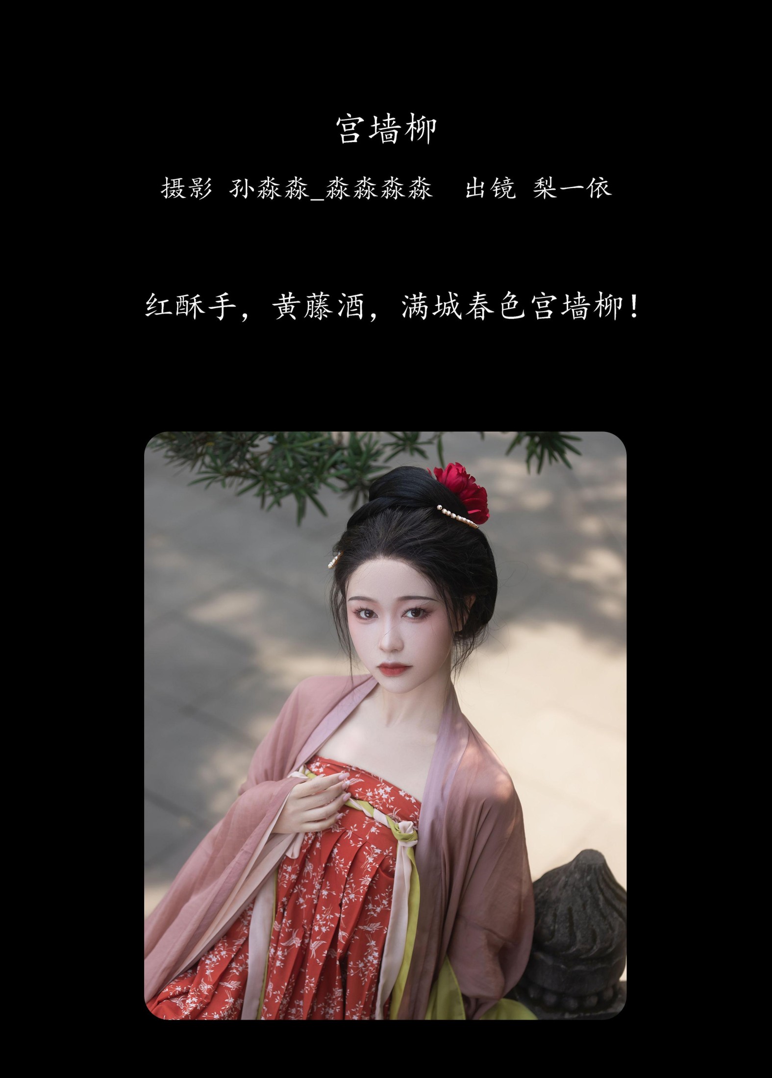 梨一依 – 《宫墙柳》[24P]