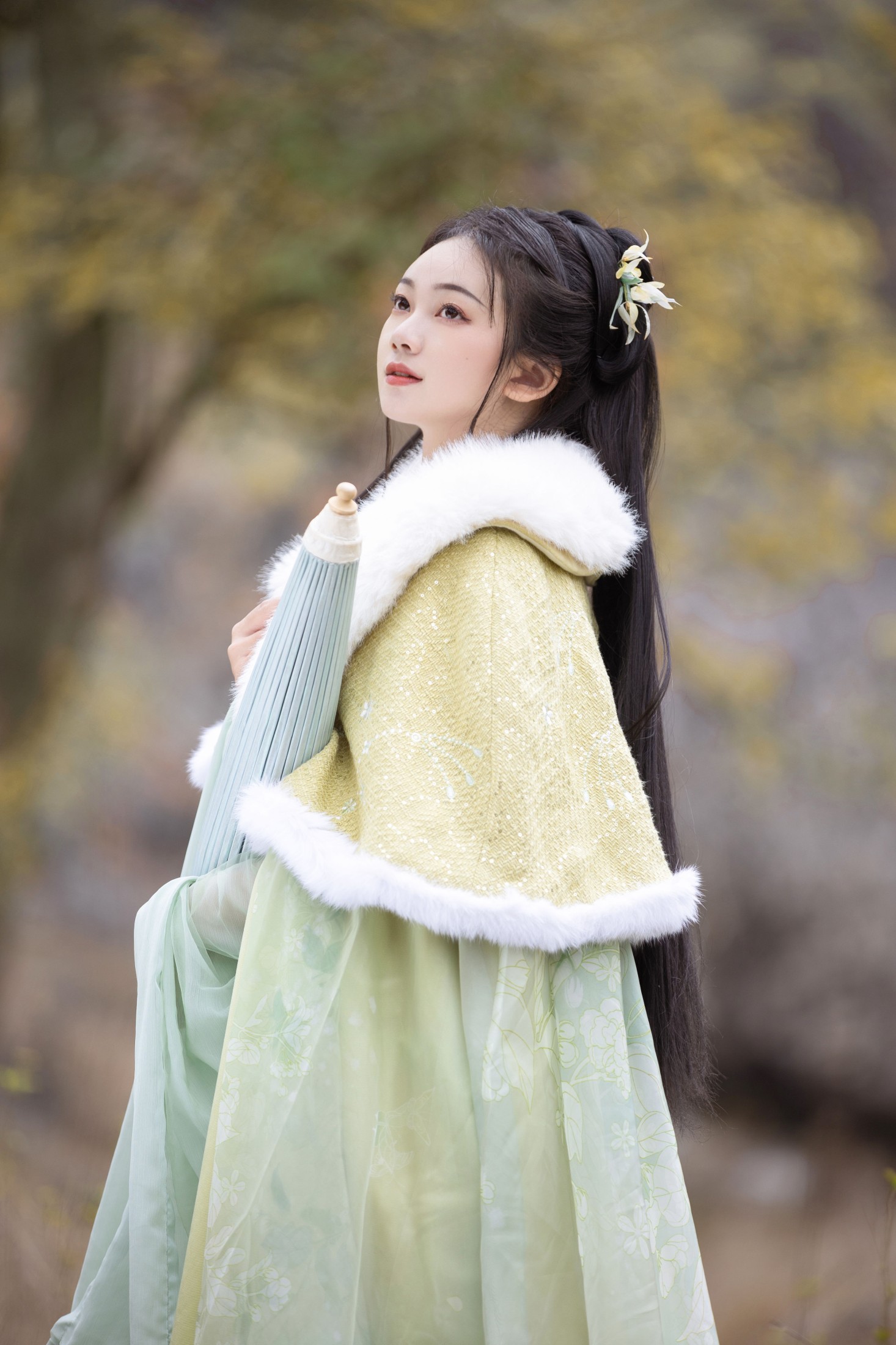 秋哒哒-- – 《枫》[25P]