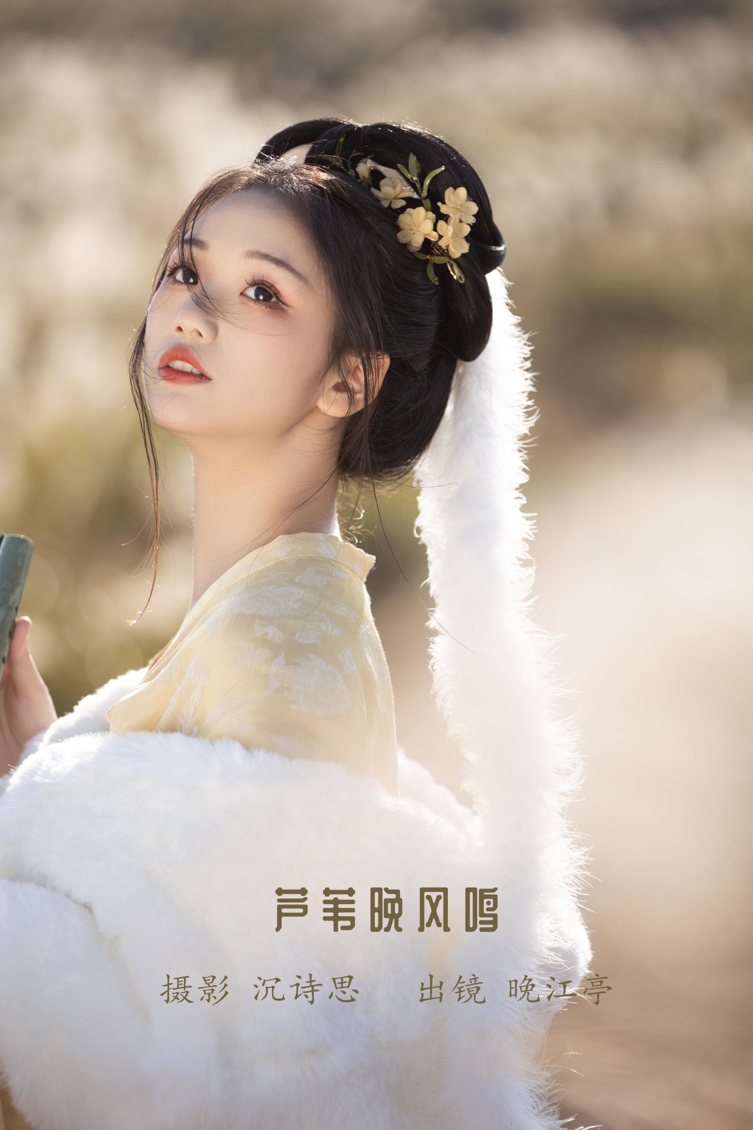芦苇晚风鸣