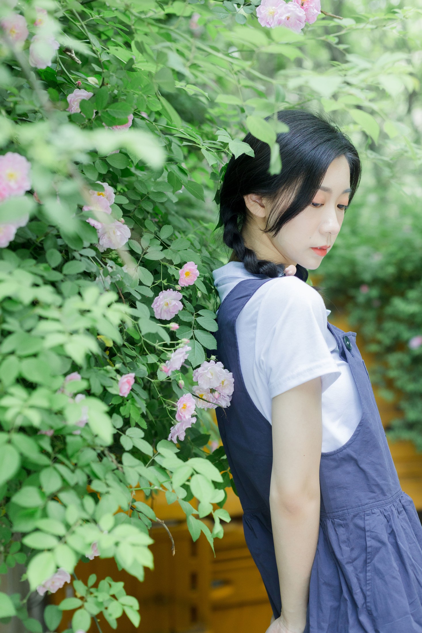 饲猫少女- – 《除了春天和蔷薇》[26P]