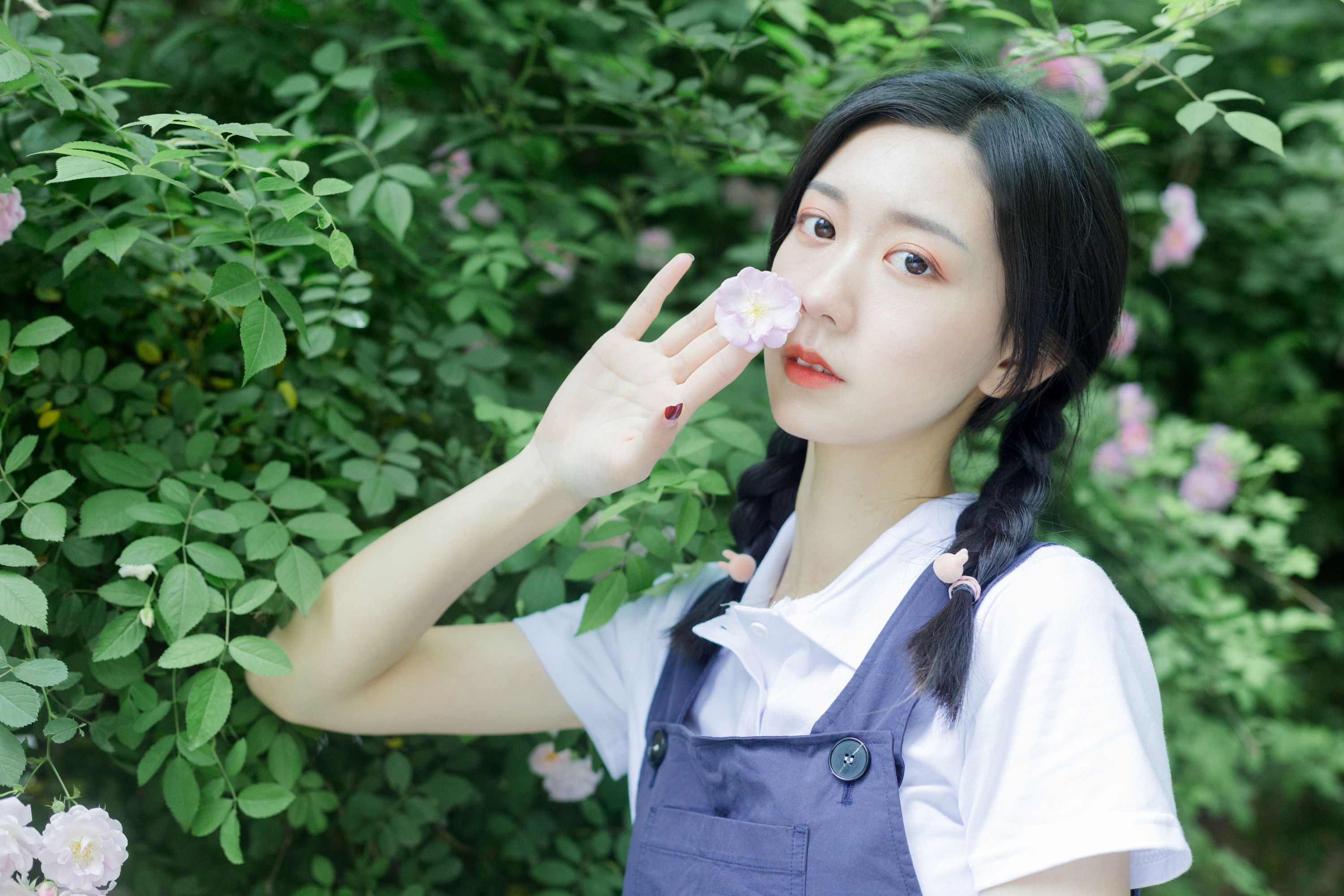 饲猫少女- – 《除了春天和蔷薇》[26P]