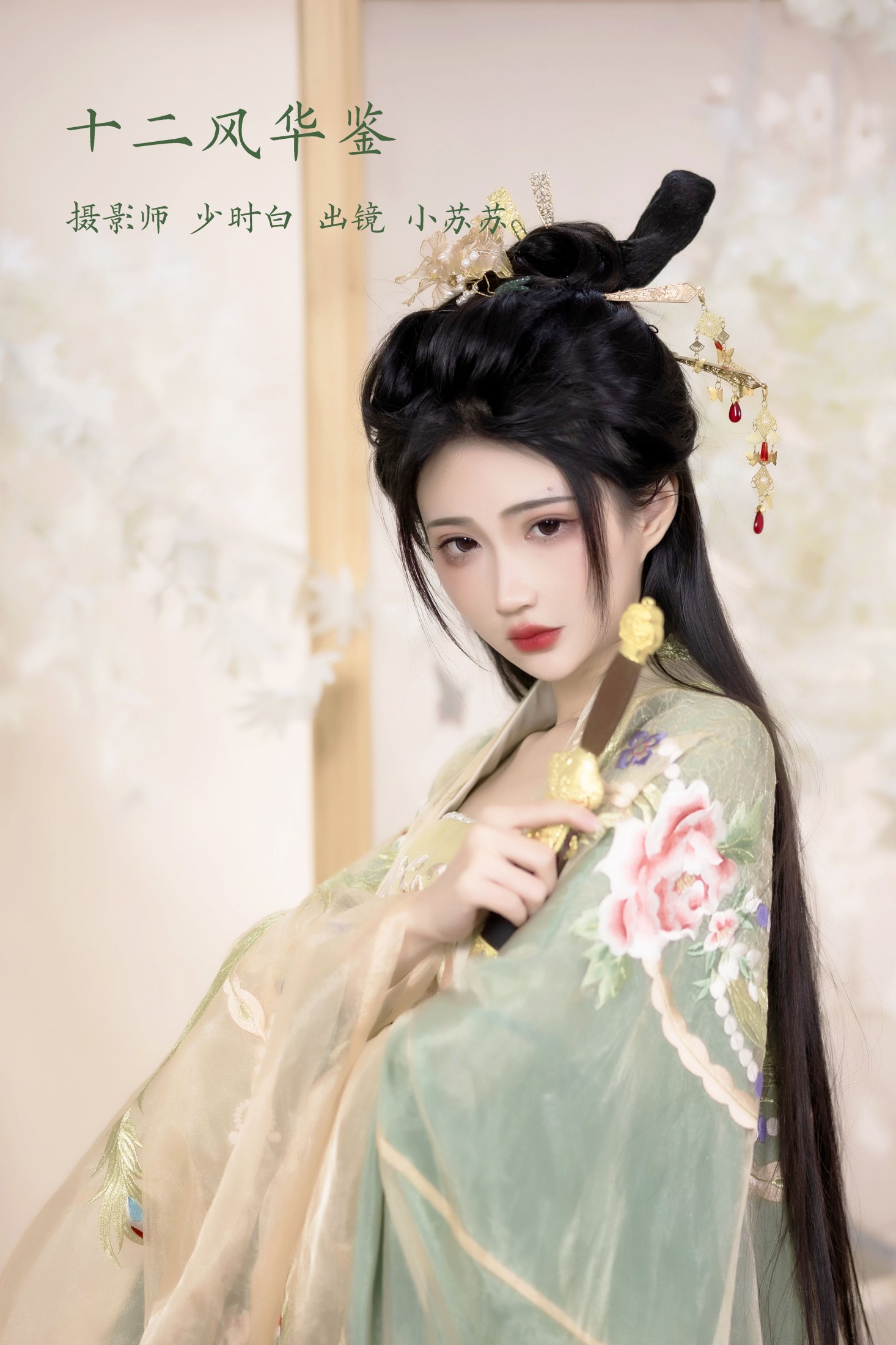 十二风华鉴