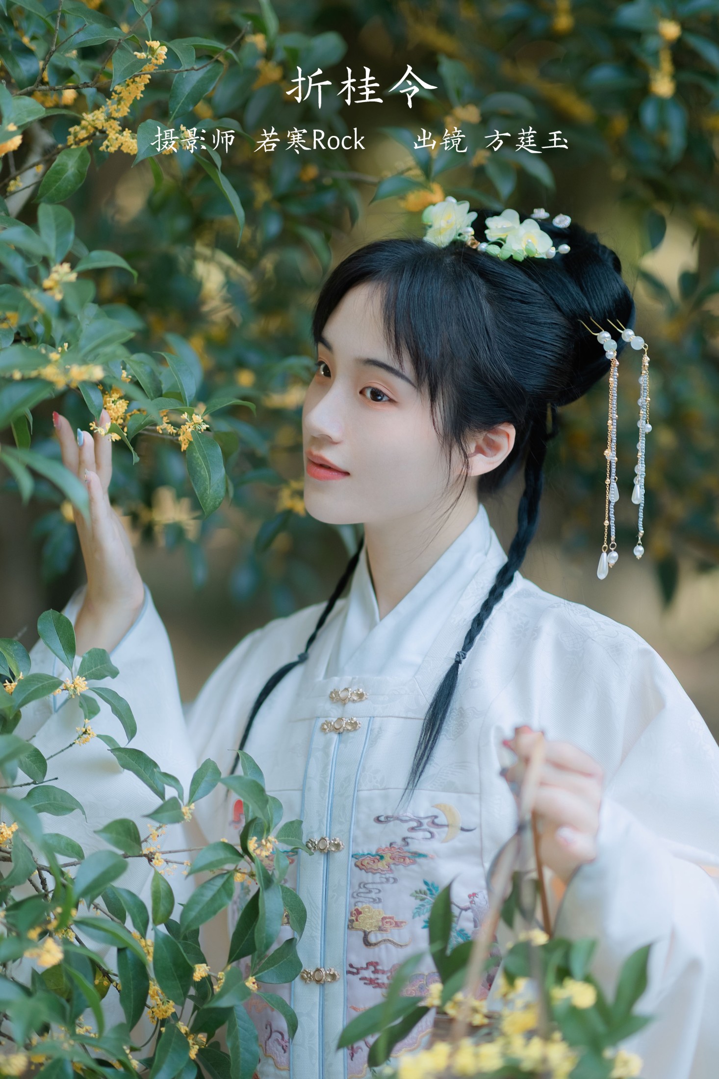 折桂令