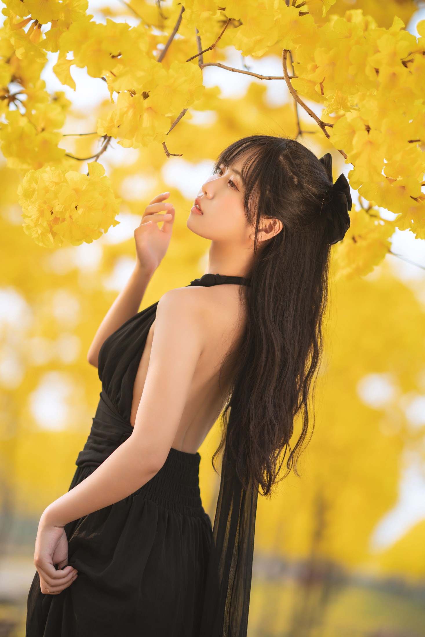 萌芽儿o0 – 《秋有银杏 春有黄风铃》[25P]