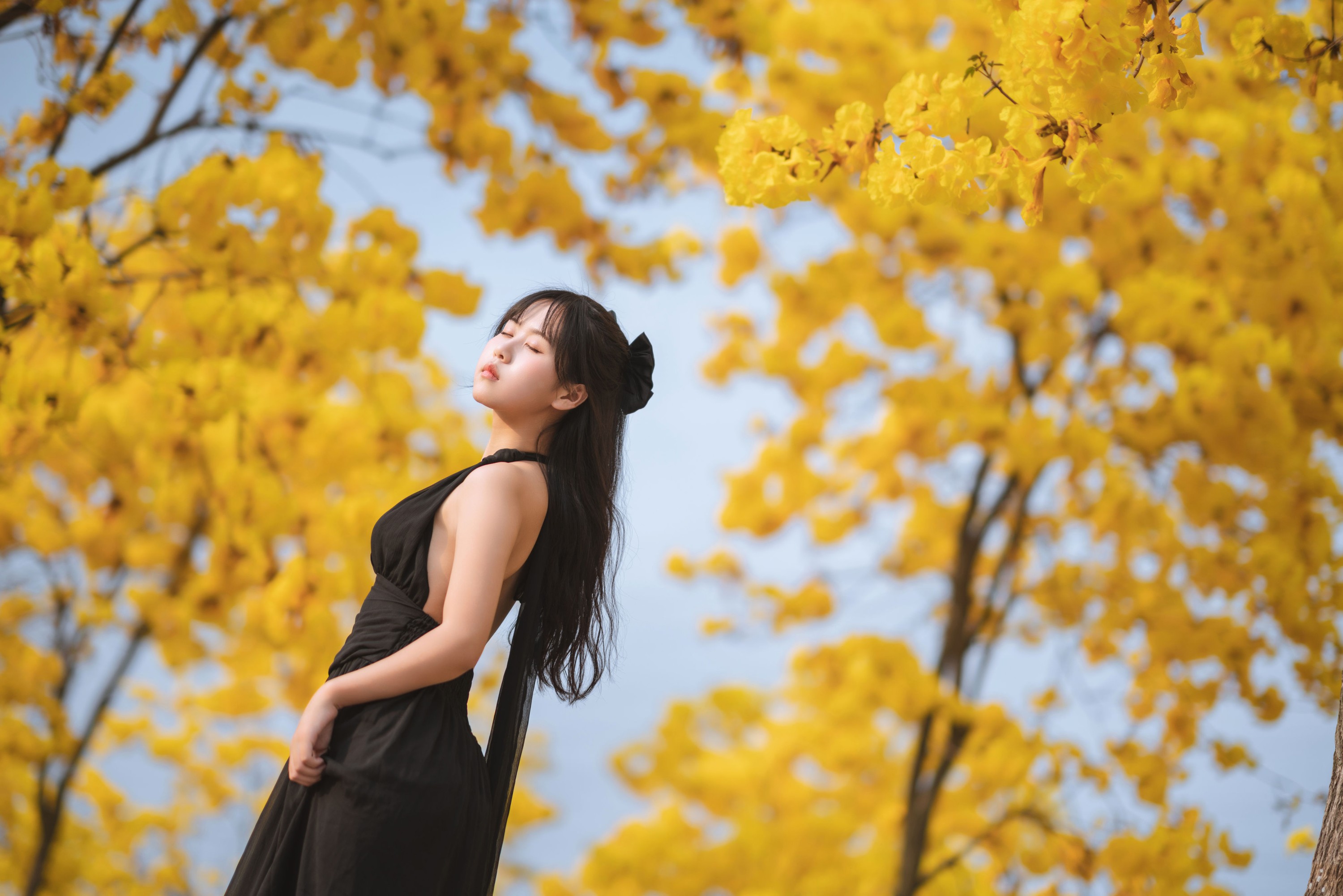萌芽儿o0 – 《秋有银杏 春有黄风铃》[25P]