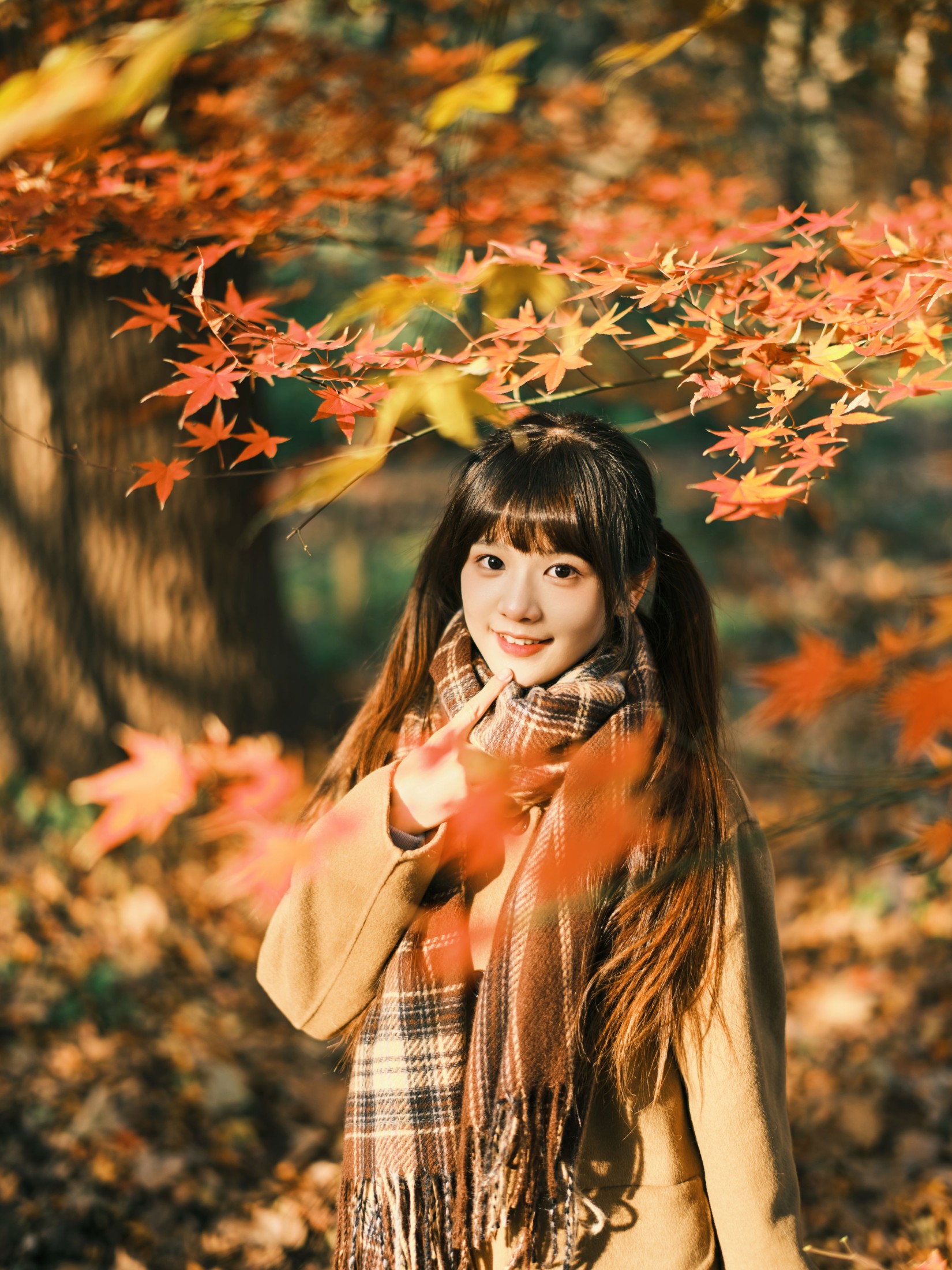 宵宵喵 – 《枫》[34P]
