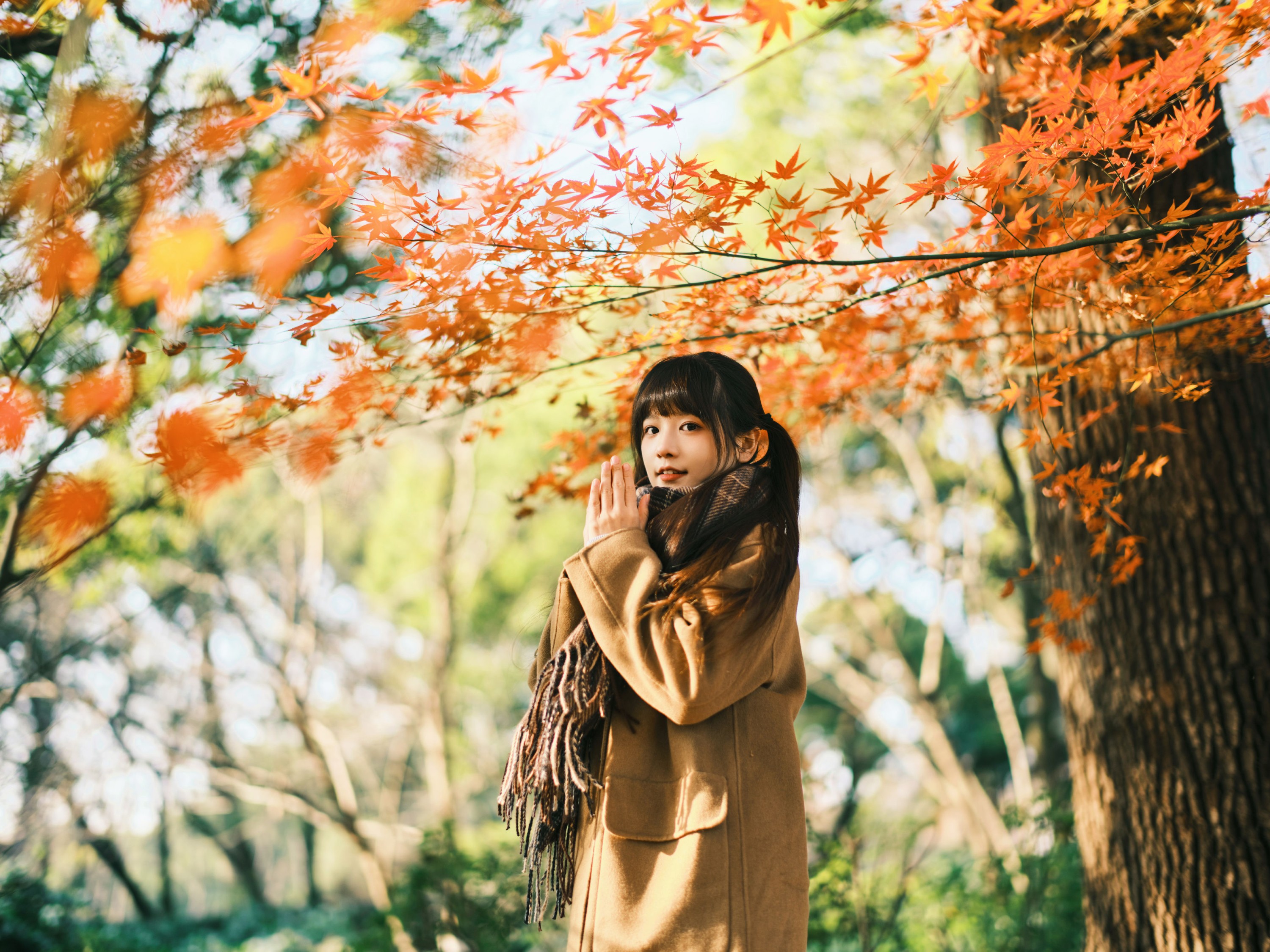 宵宵喵 – 《枫》[34P]