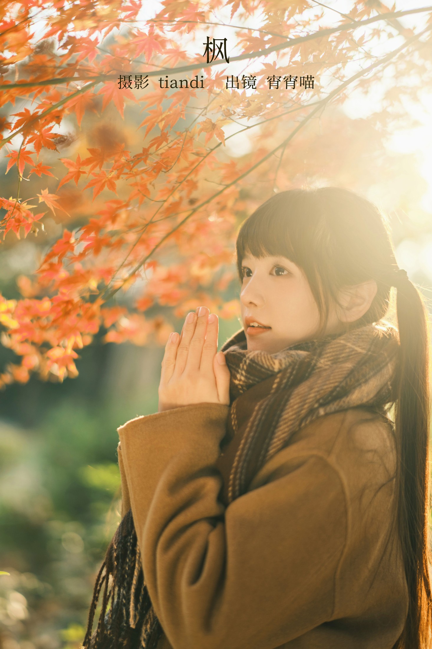 枫