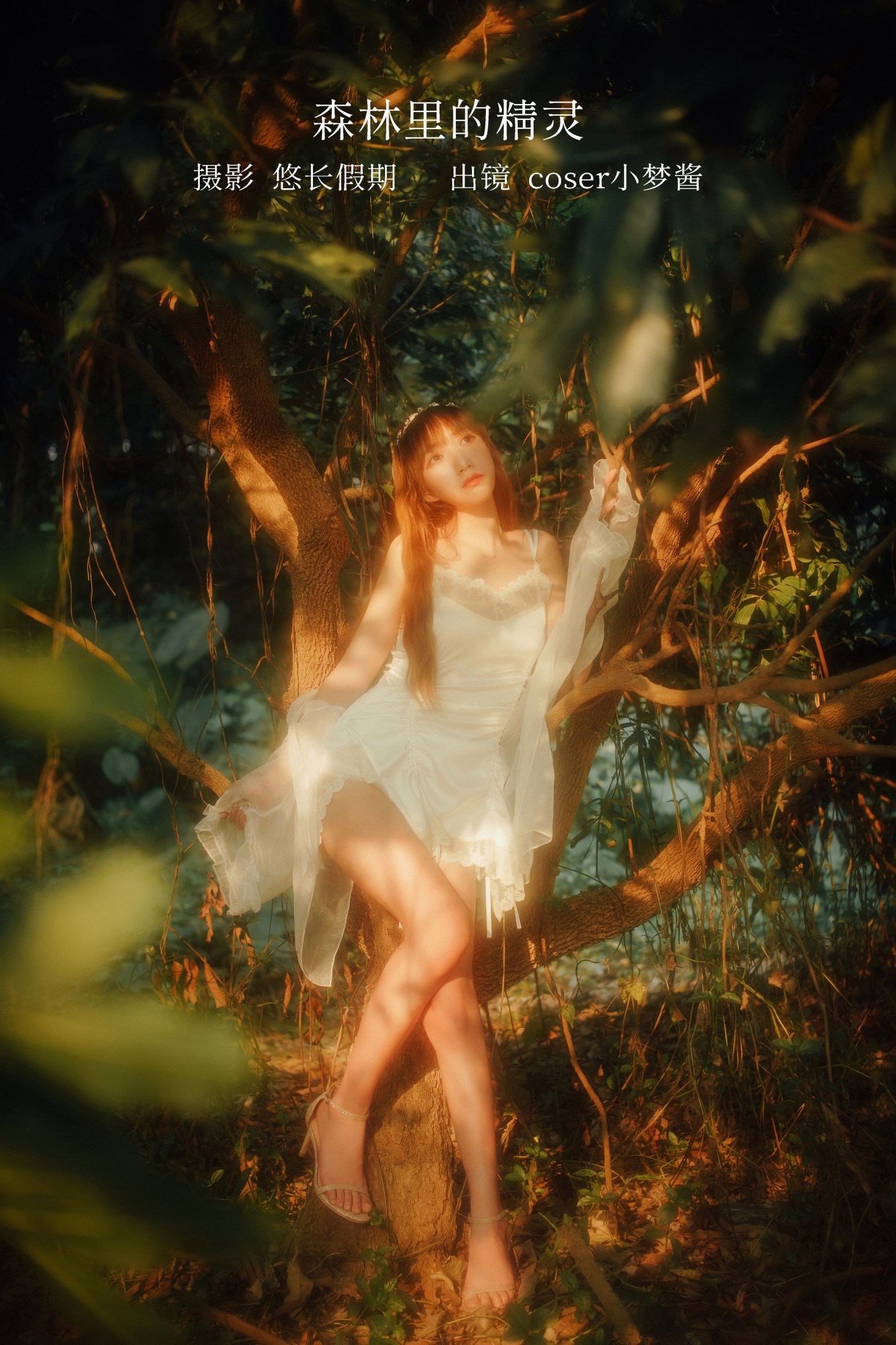 森林里的精灵