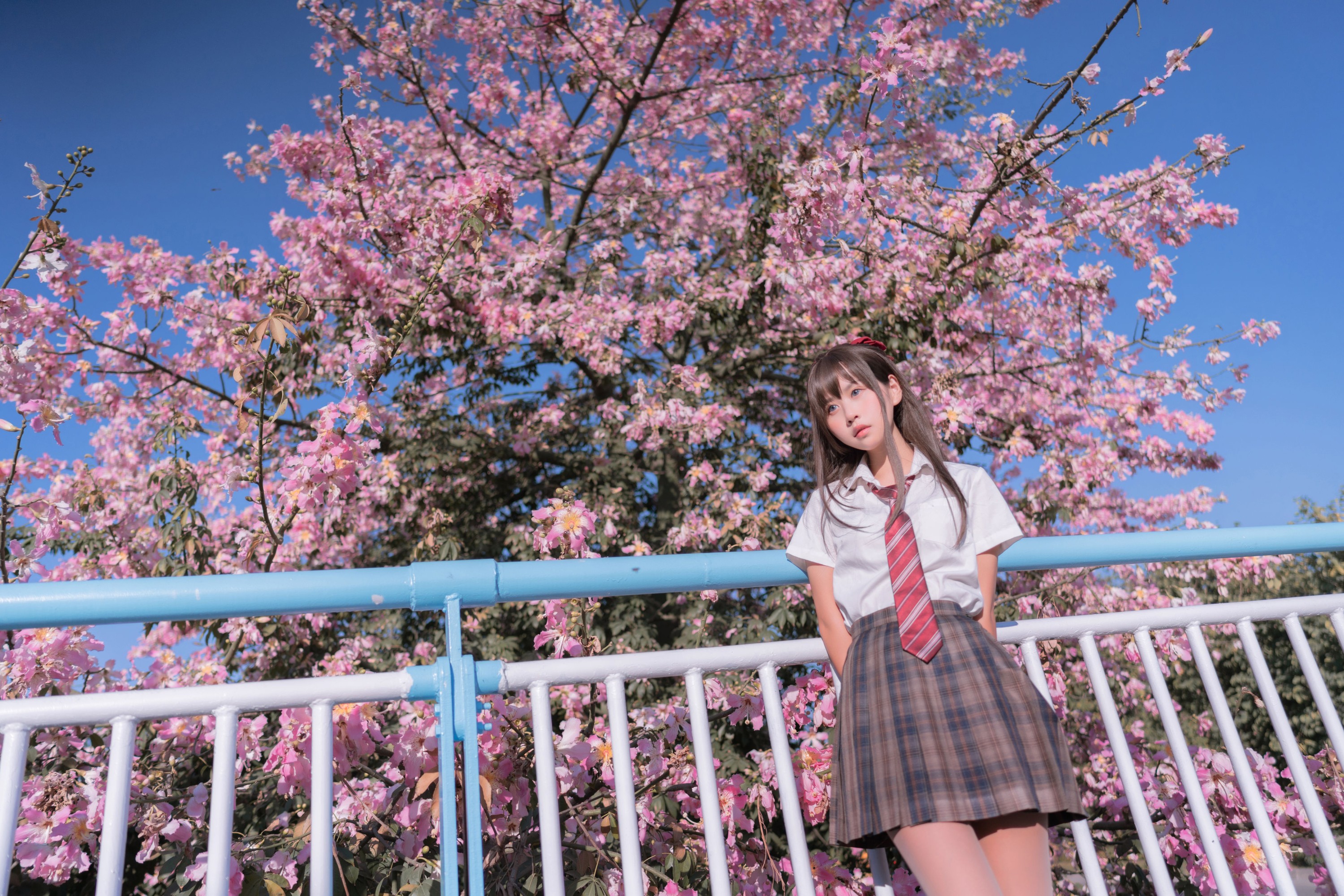 萌芽儿o0 – 《异木棉花》[28P]