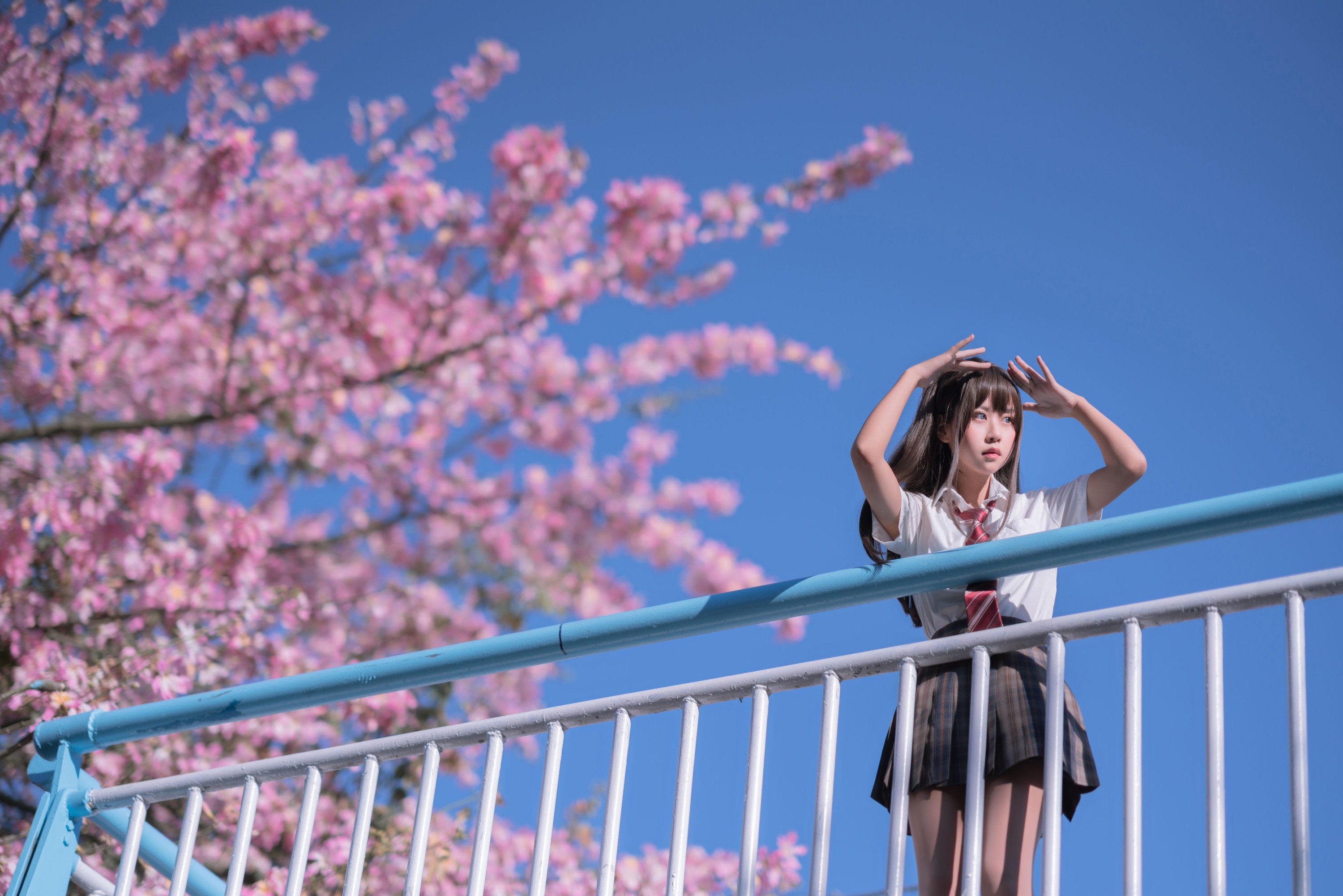 萌芽儿o0 – 《异木棉花》[28P]