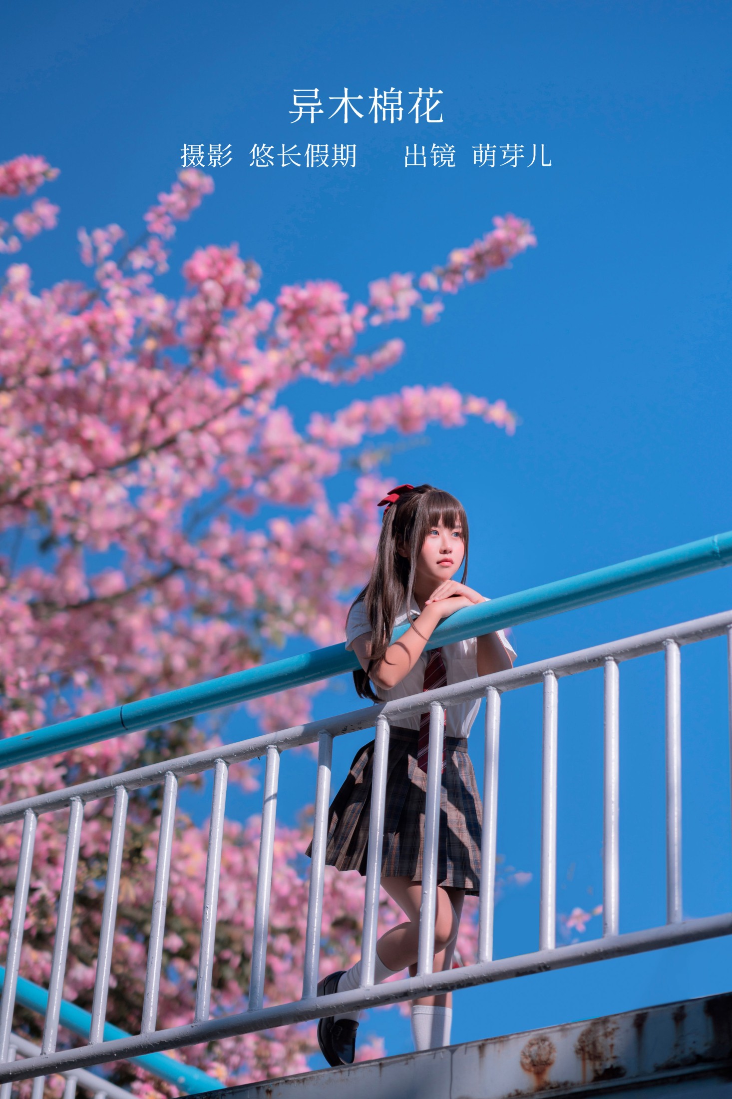 异木棉花