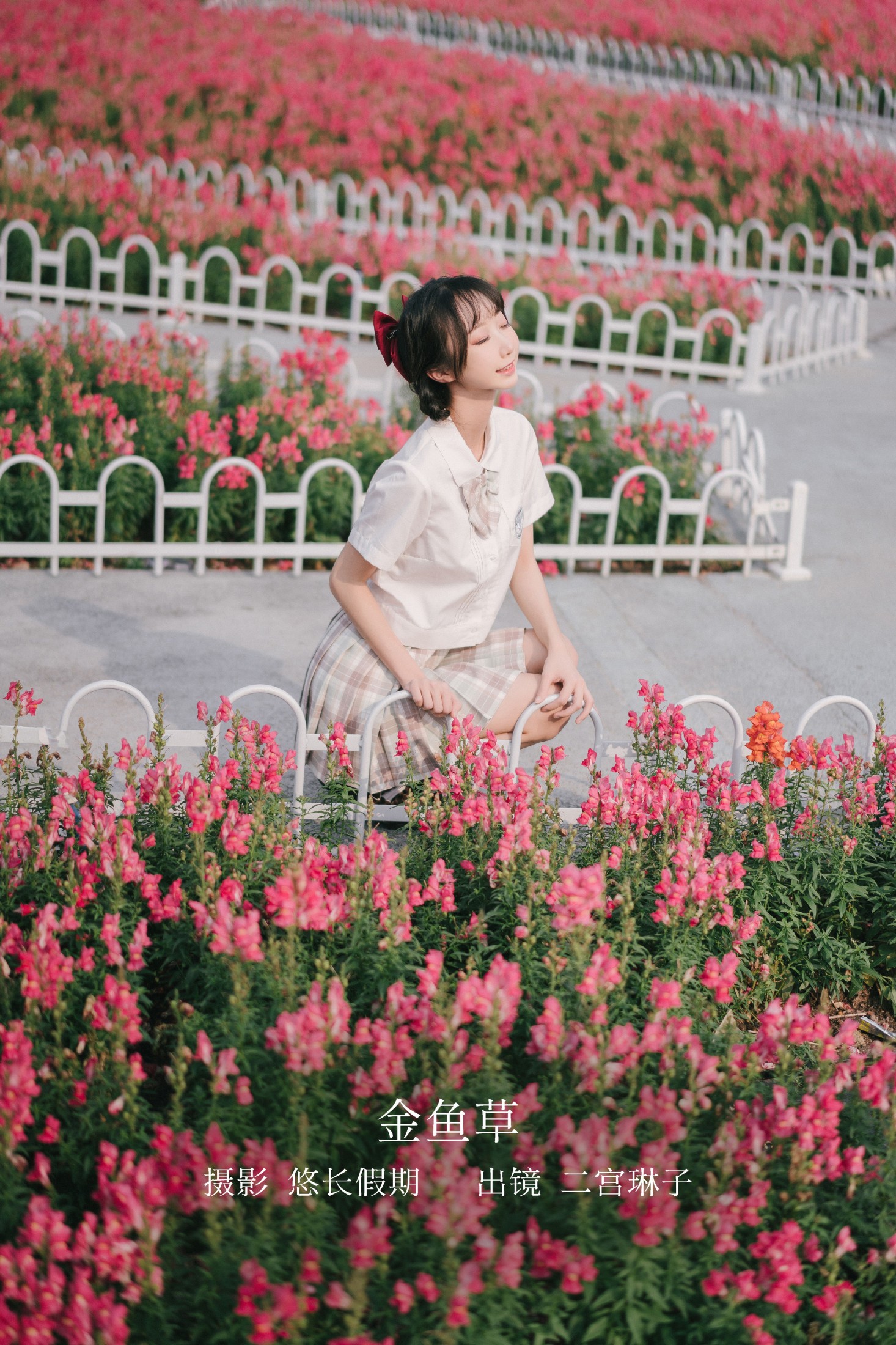 金鱼草