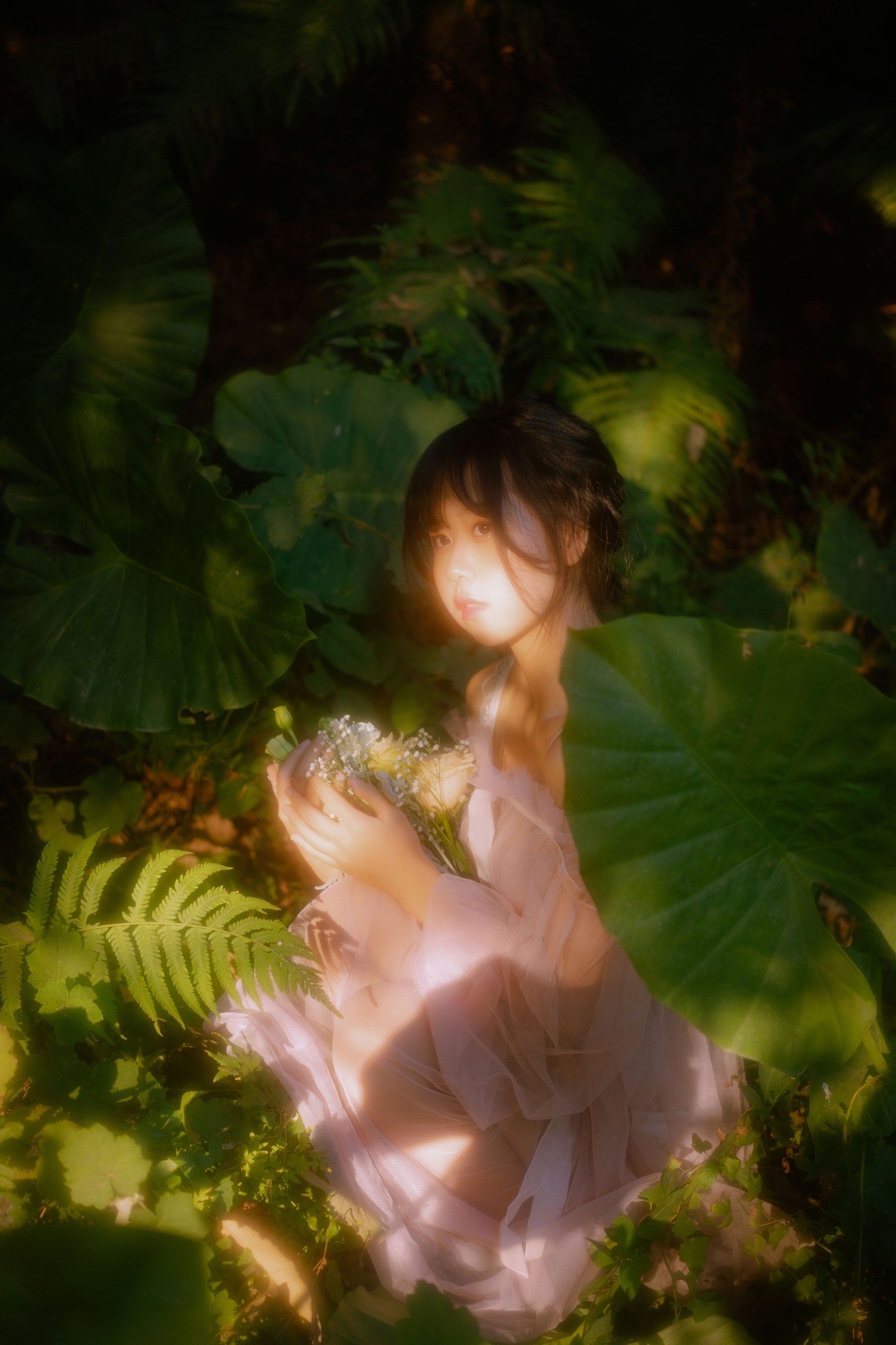 萌芽儿o0 – 《林中少女》[31P]