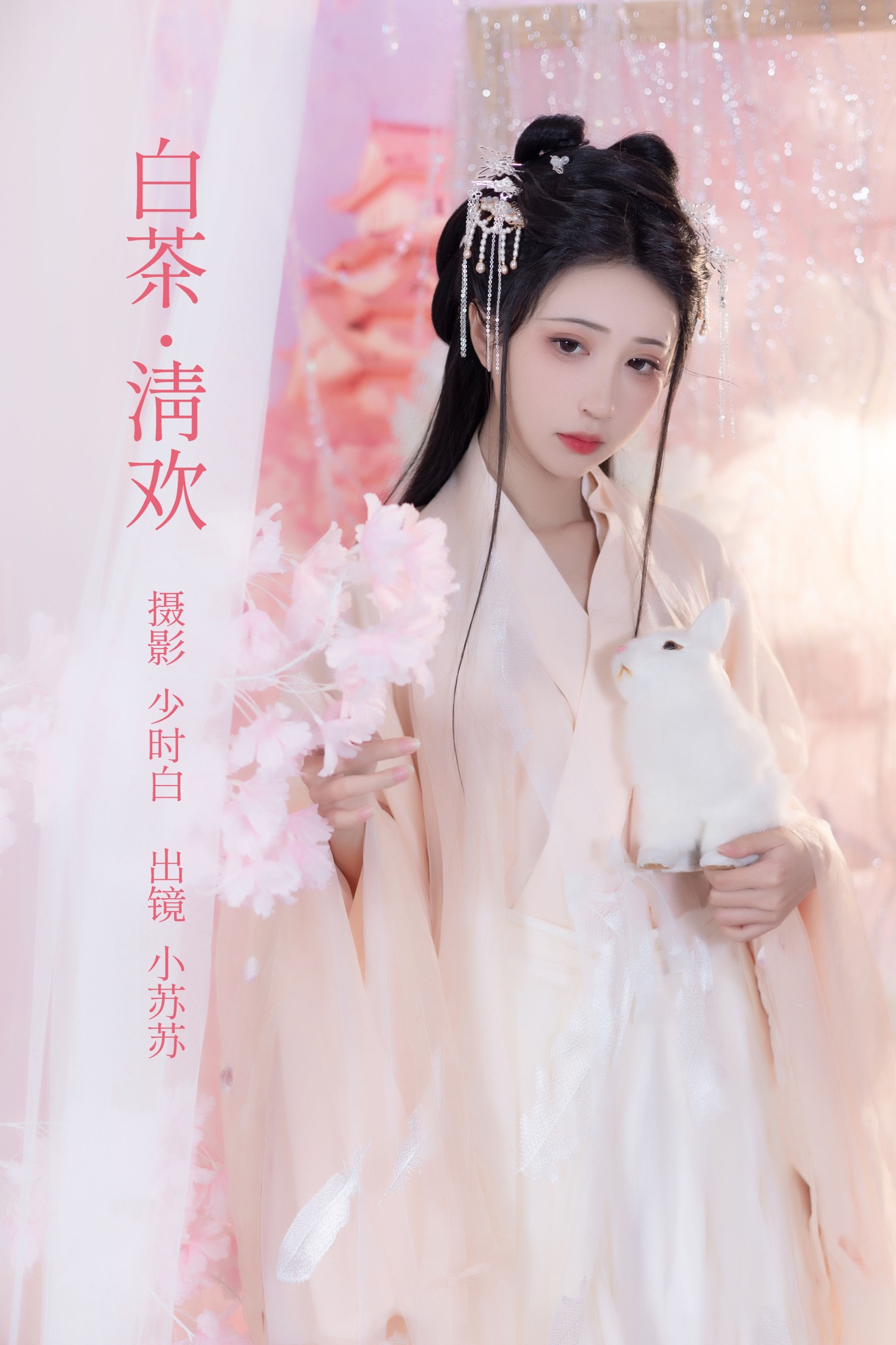 白茶清欢