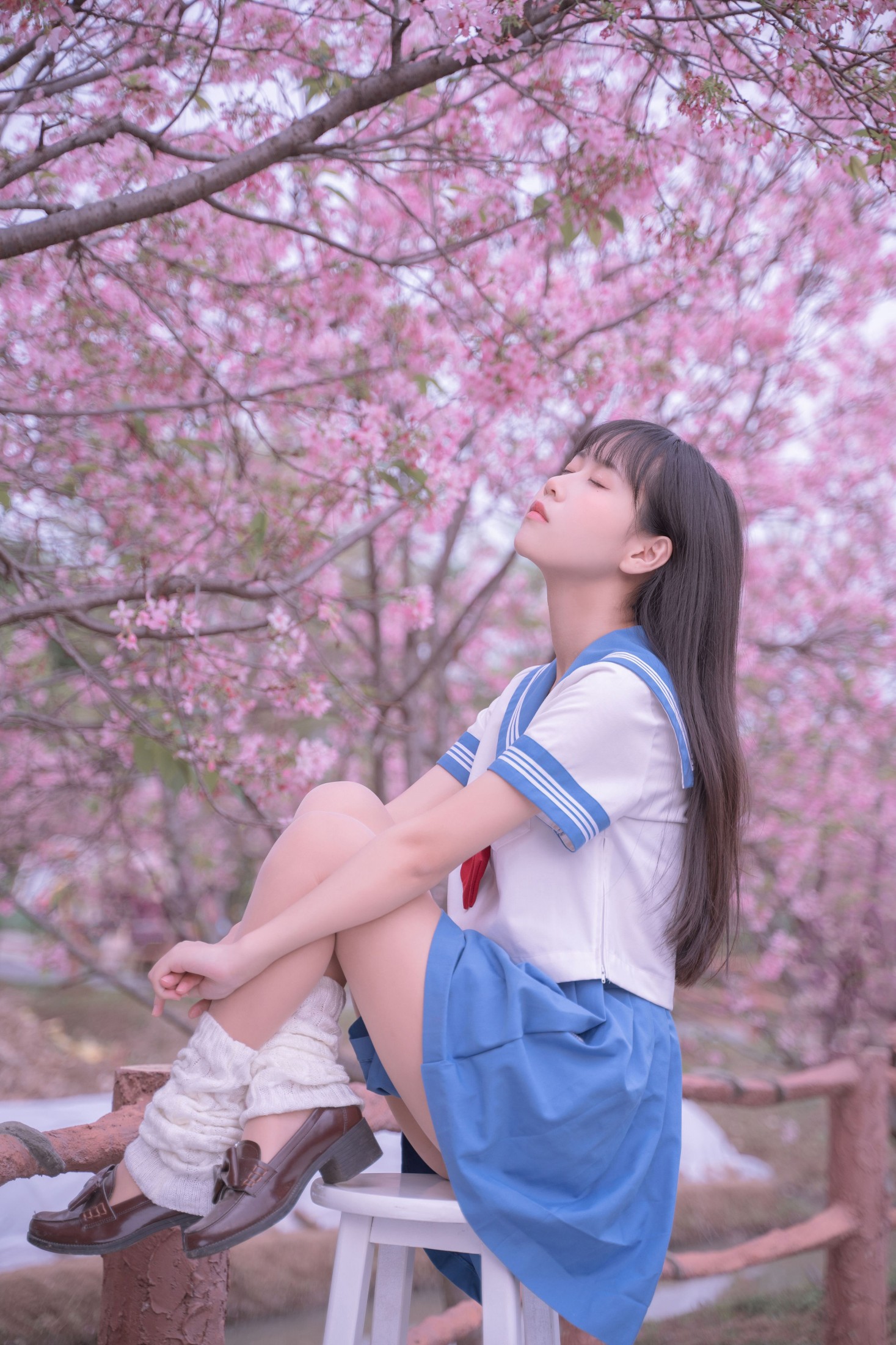 萌芽儿o0 – 《樱花jk》[32P]