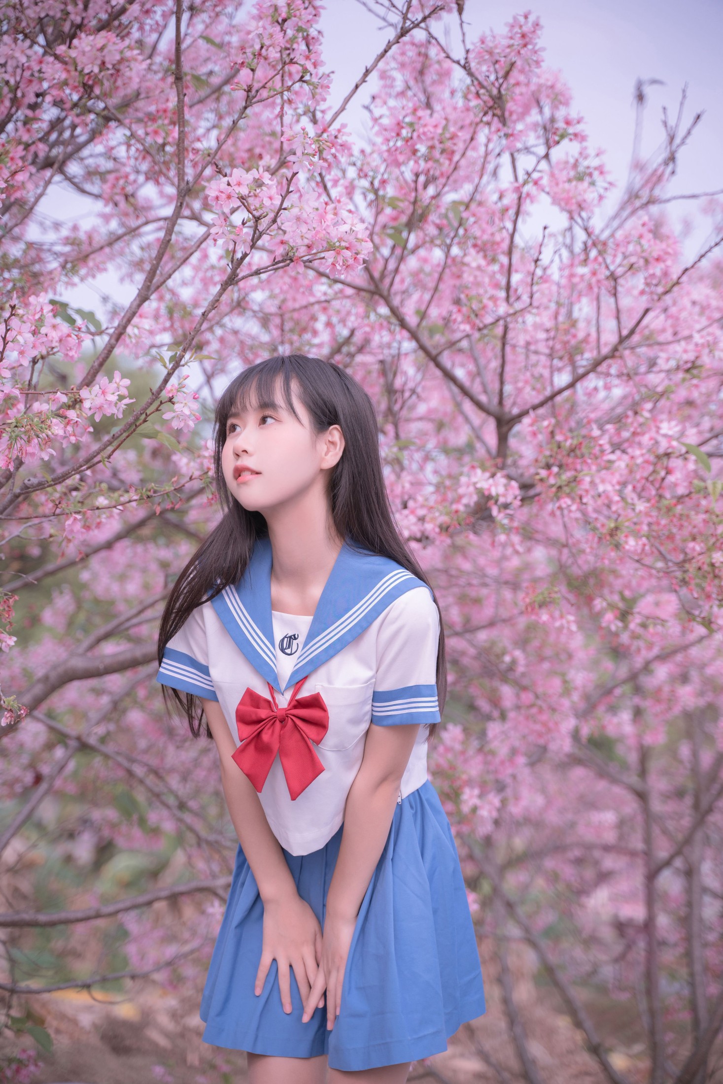 萌芽儿o0 – 《樱花jk》[32P]