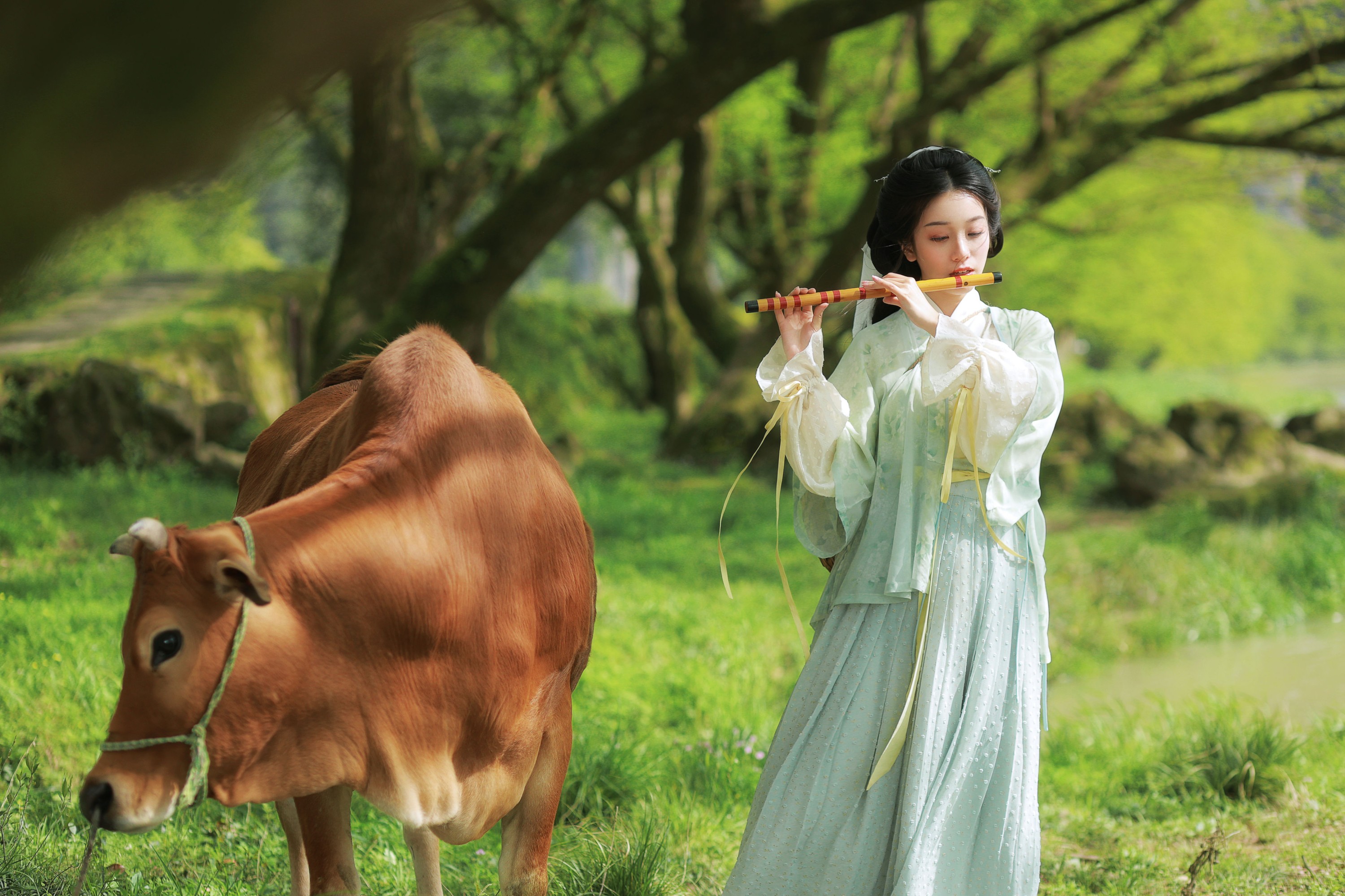 小清菡呀  – 《 牧牛》[22P]