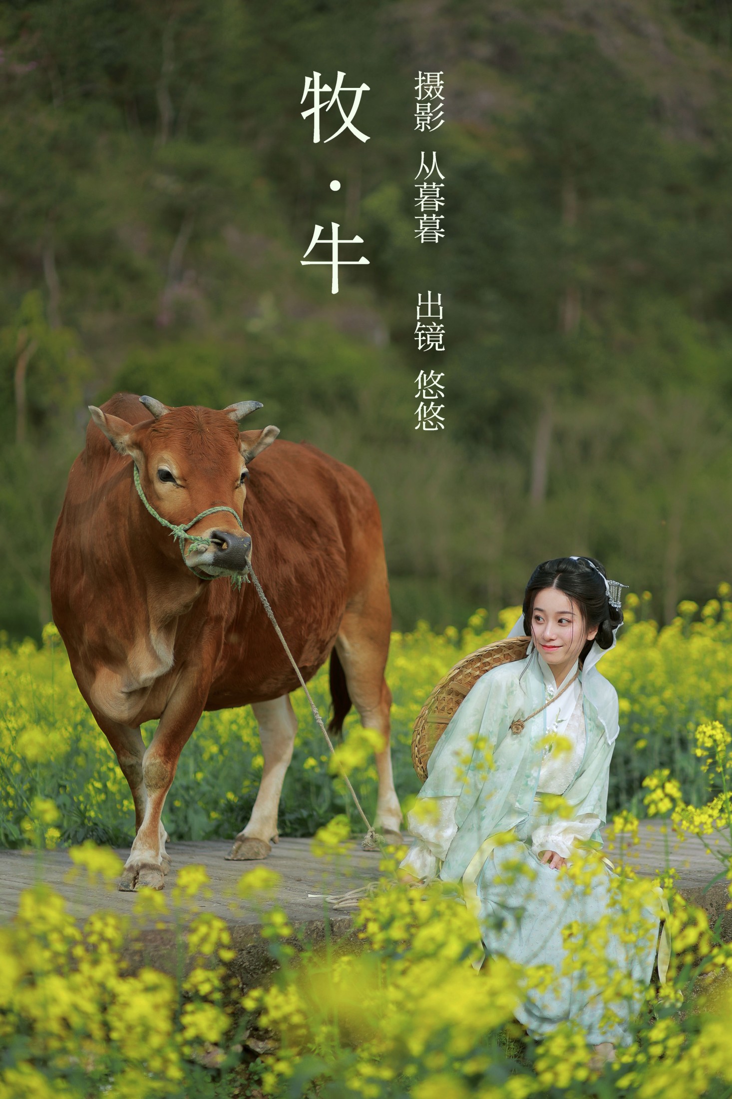 牧牛