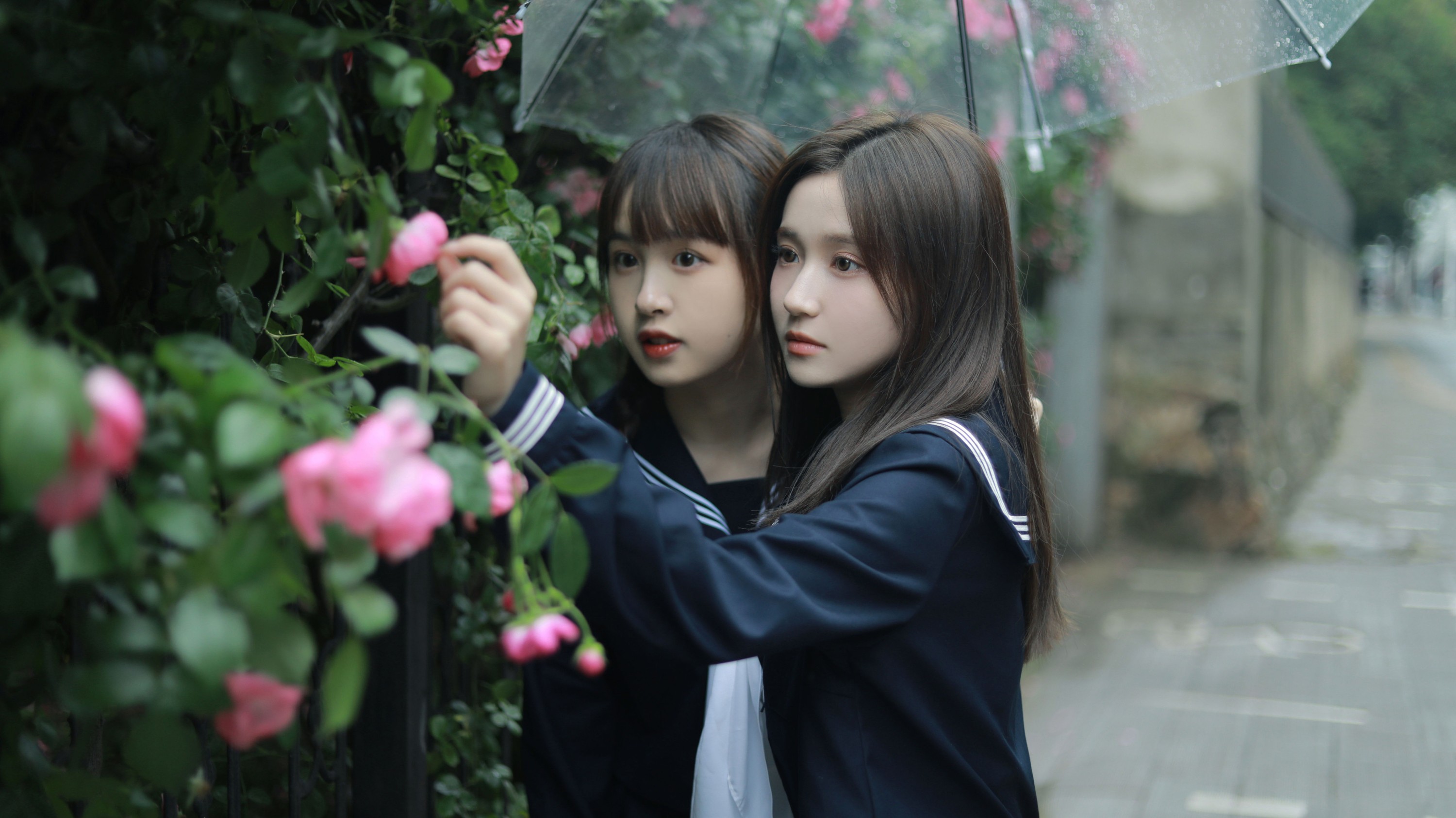 大元梦二 璨璨 – 《花与爱丽丝》[30P]