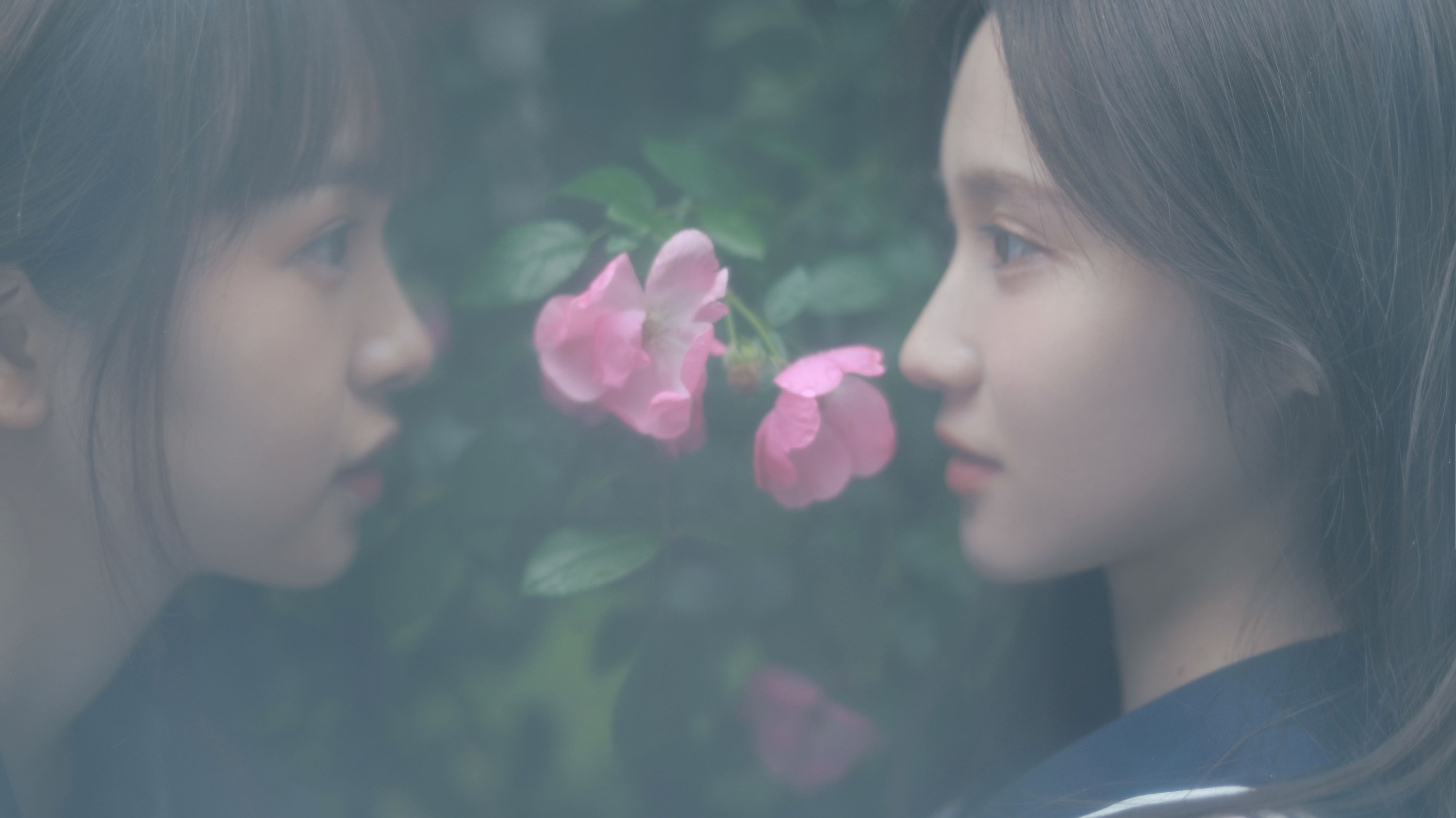 大元梦二 璨璨 – 《花与爱丽丝》[30P]