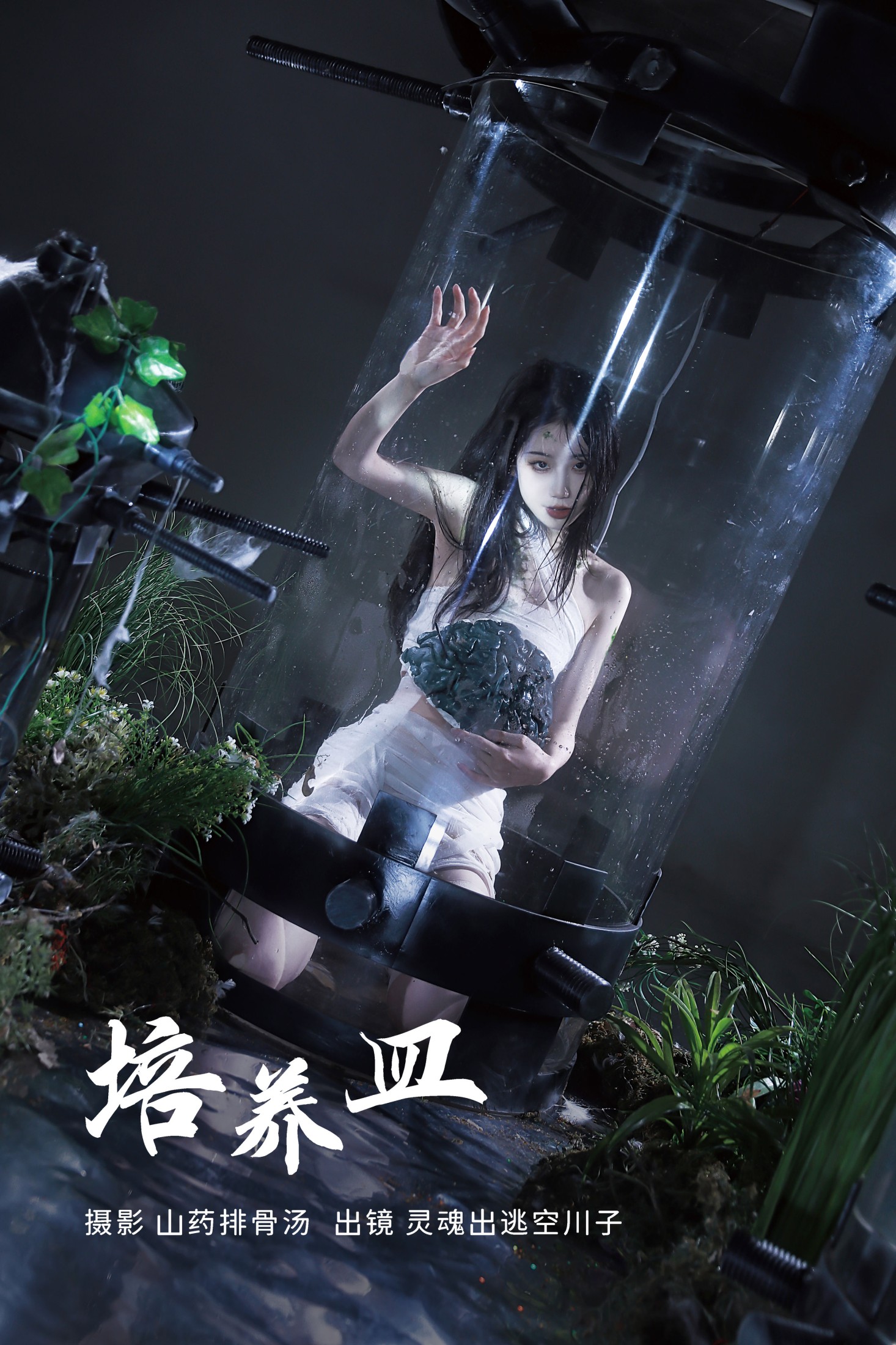 培养皿
