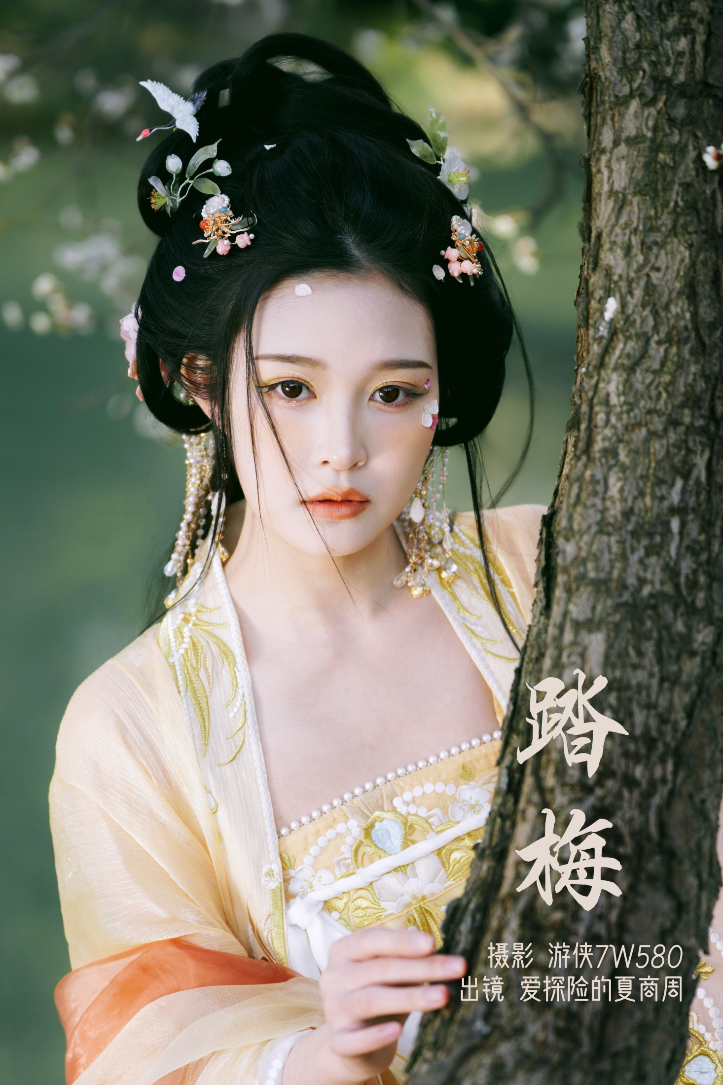 踏梅