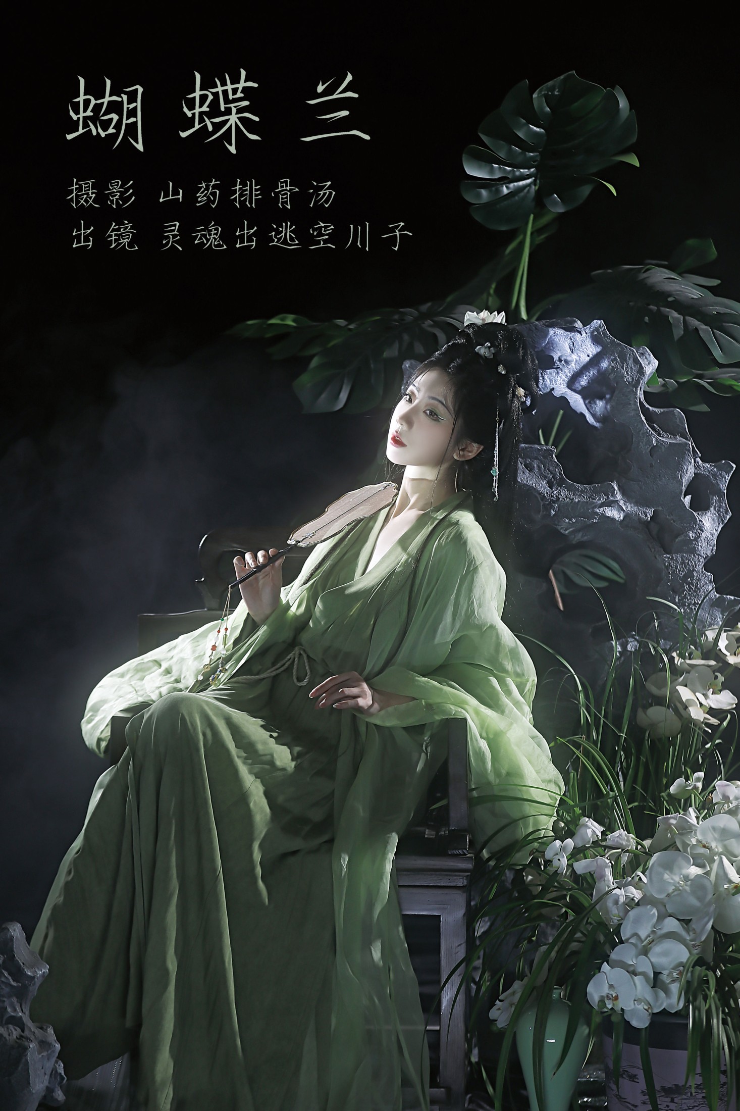 蝴蝶兰
