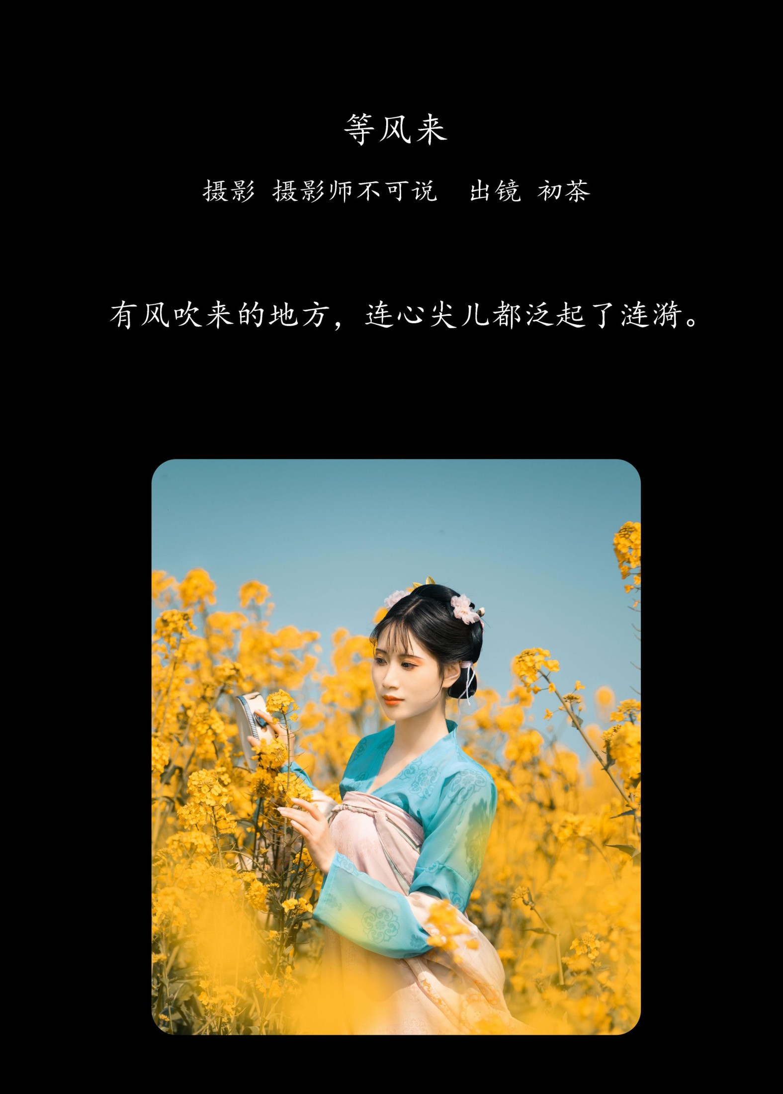 初茶 – 《等风来》[63P]