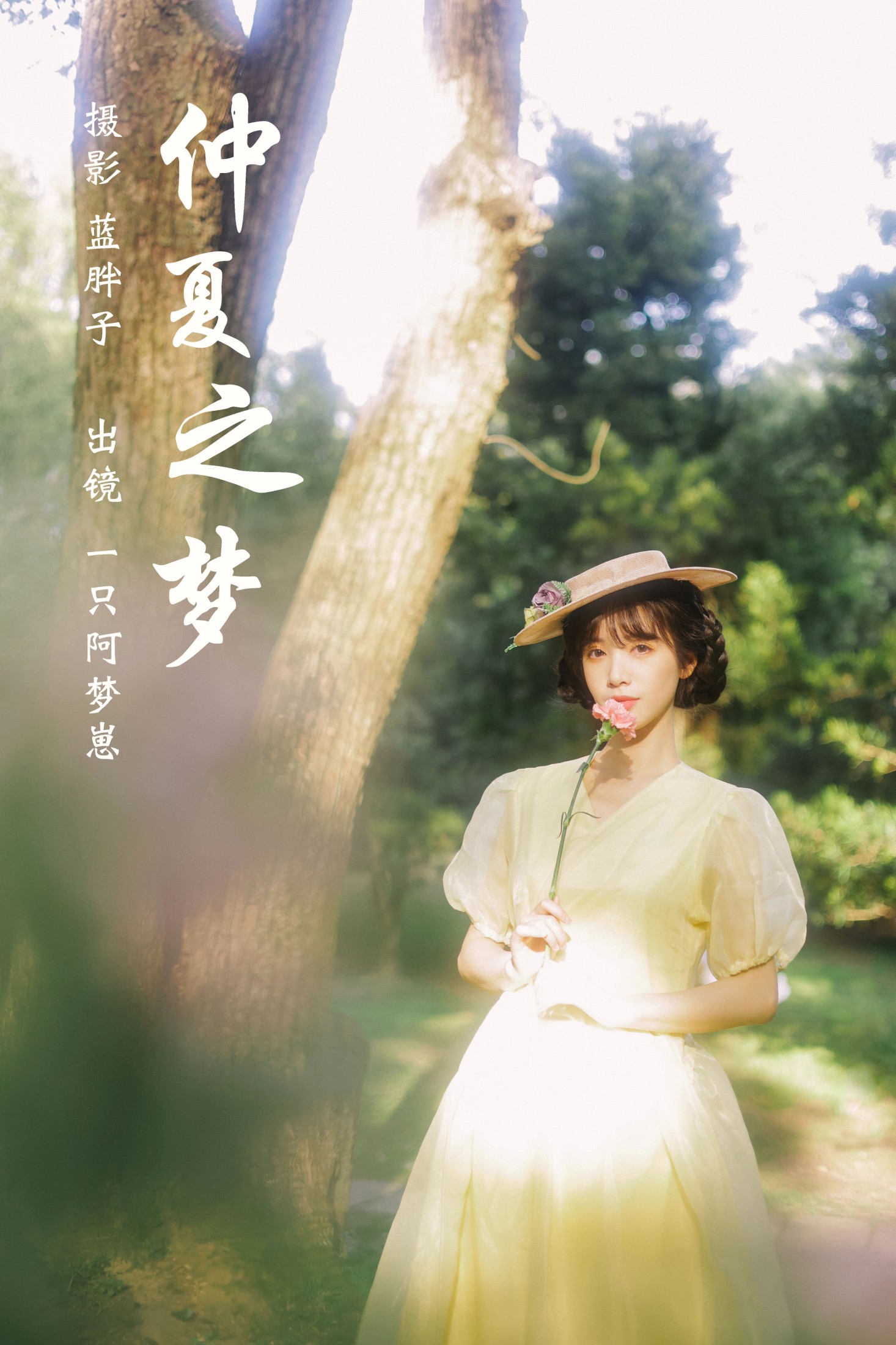 仲夏之梦