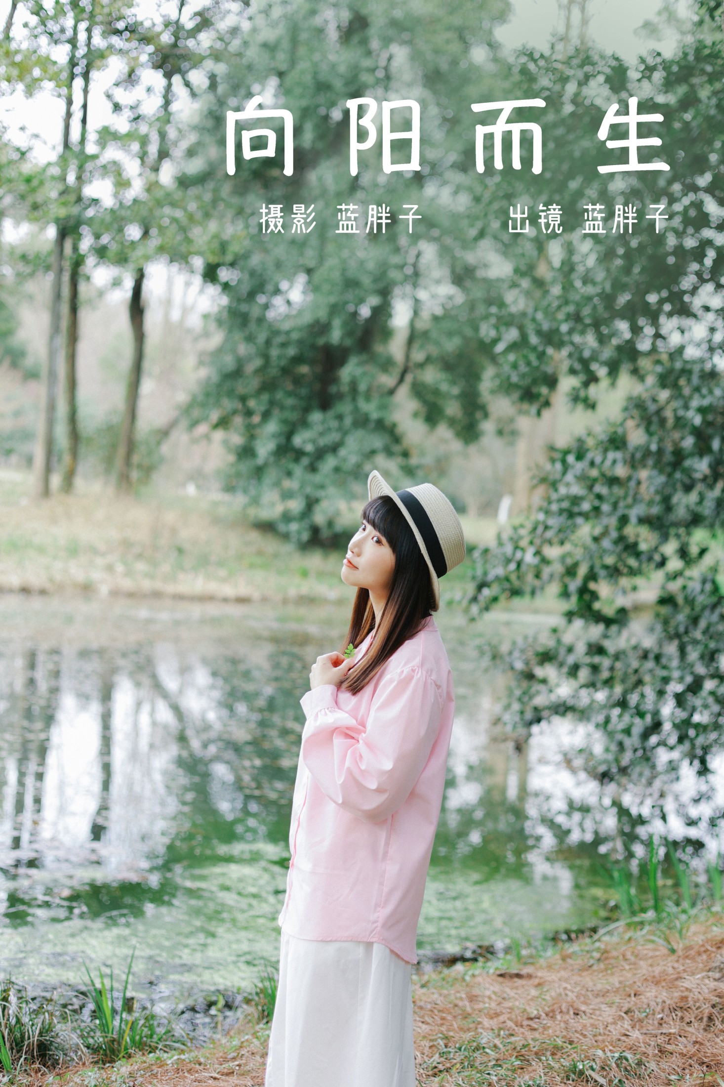 向阳而生