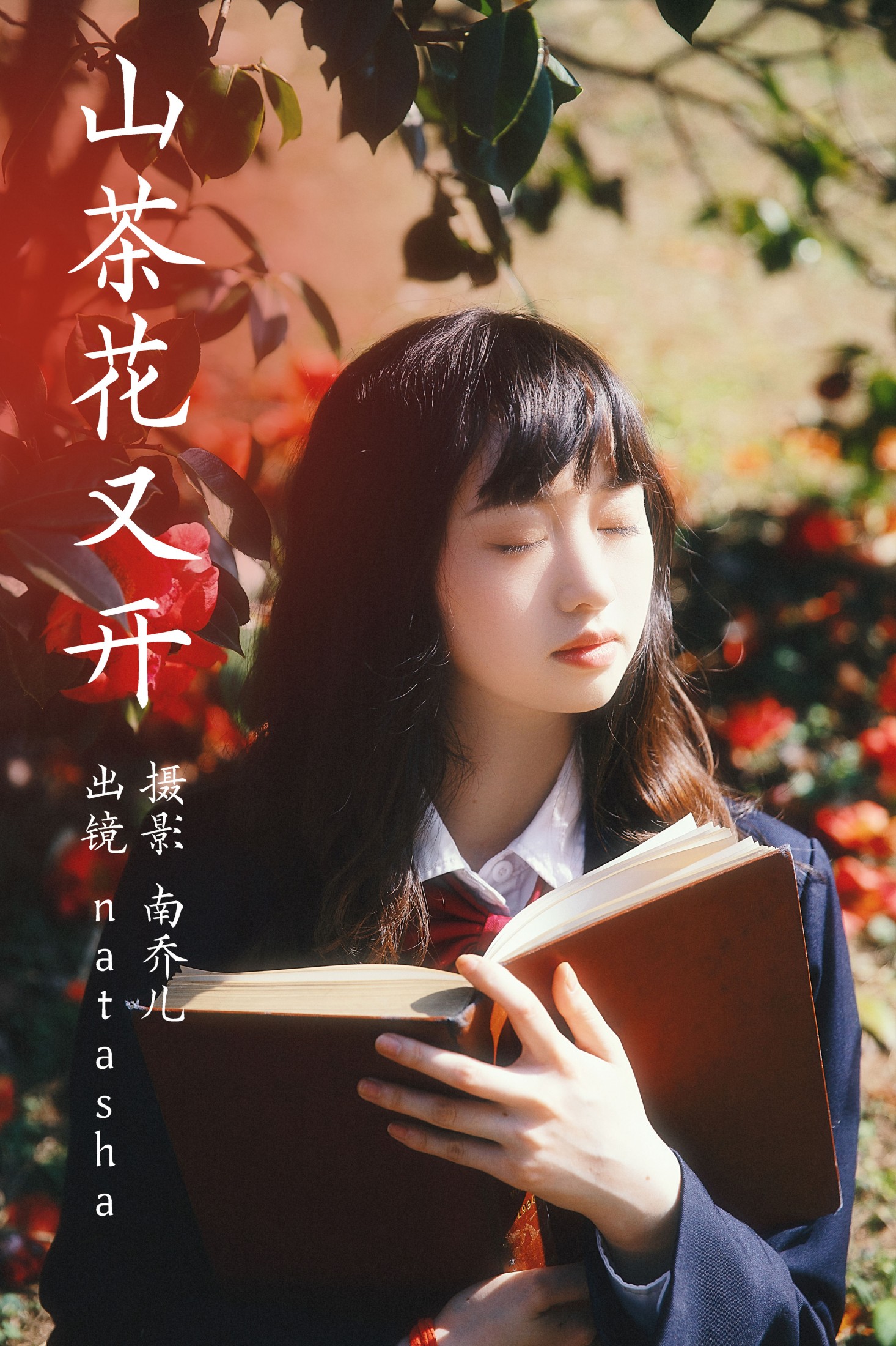 山茶花又开