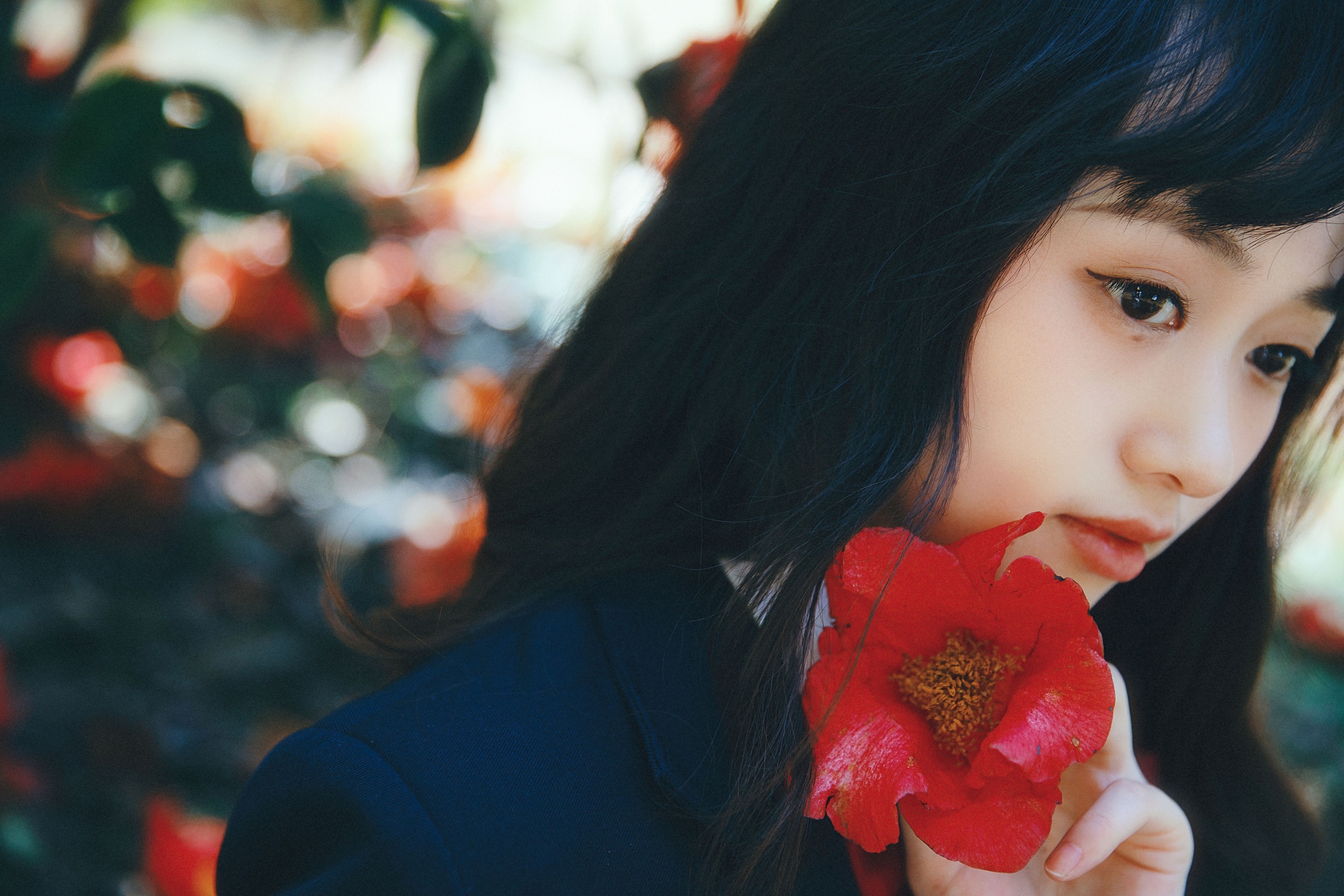 natasha – 《山茶花又开》[27P]
