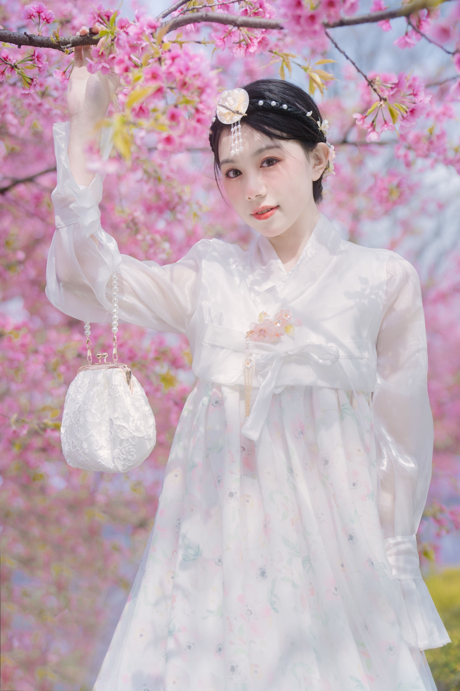 初初 – 《延边公主樱花祭》[22P]