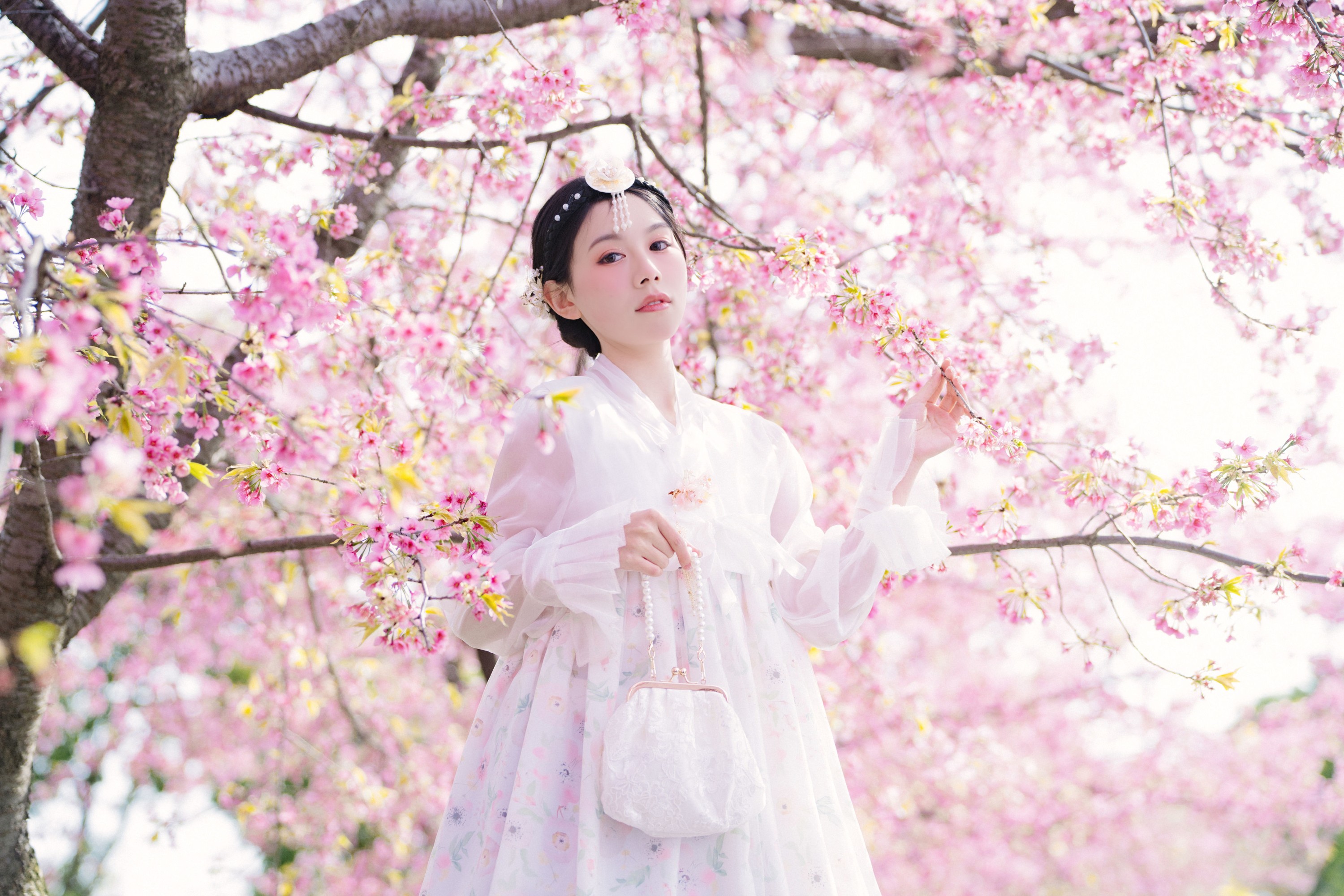 初初 – 《延边公主樱花祭》[22P]