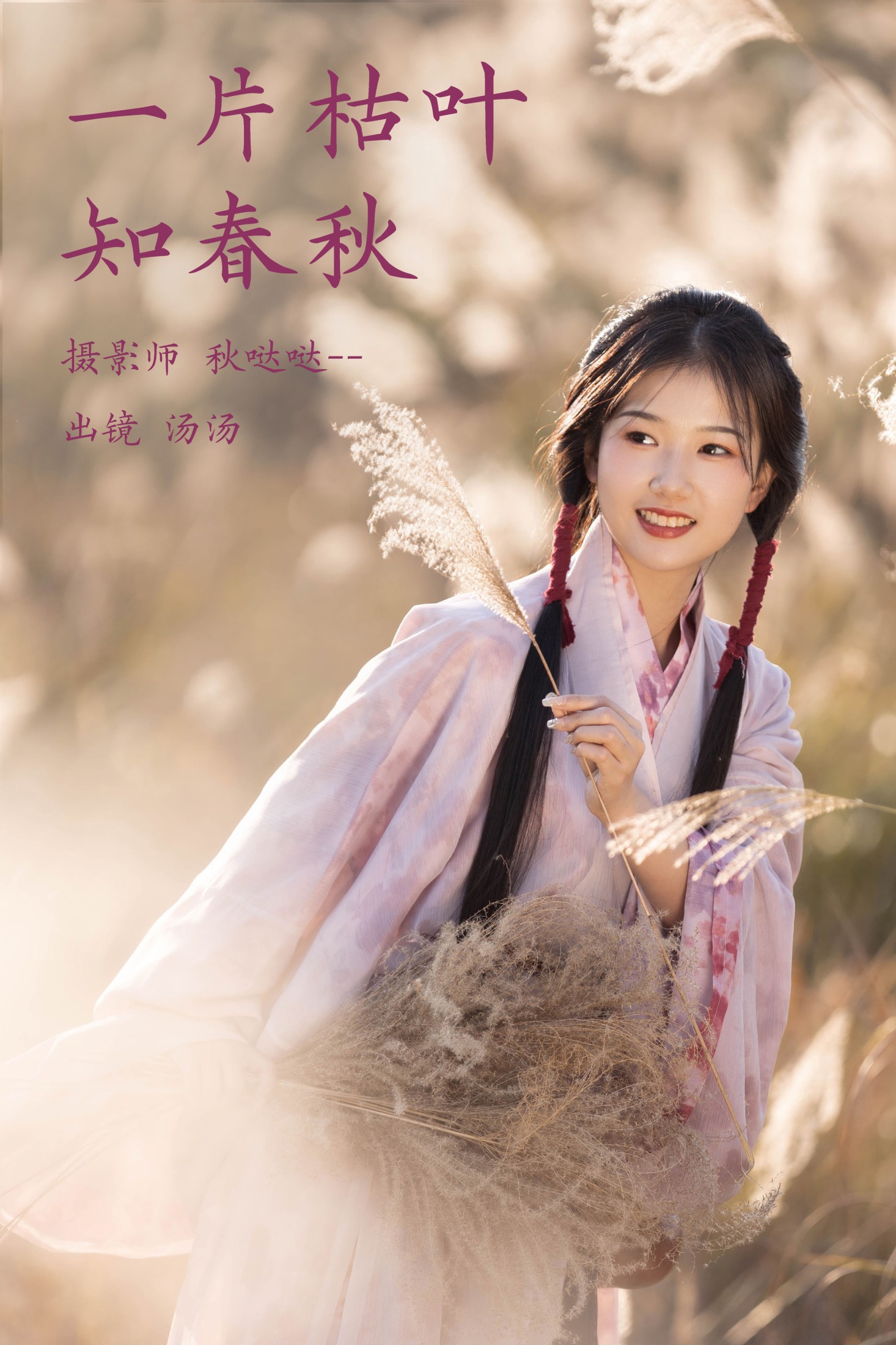 一片枯叶知春秋