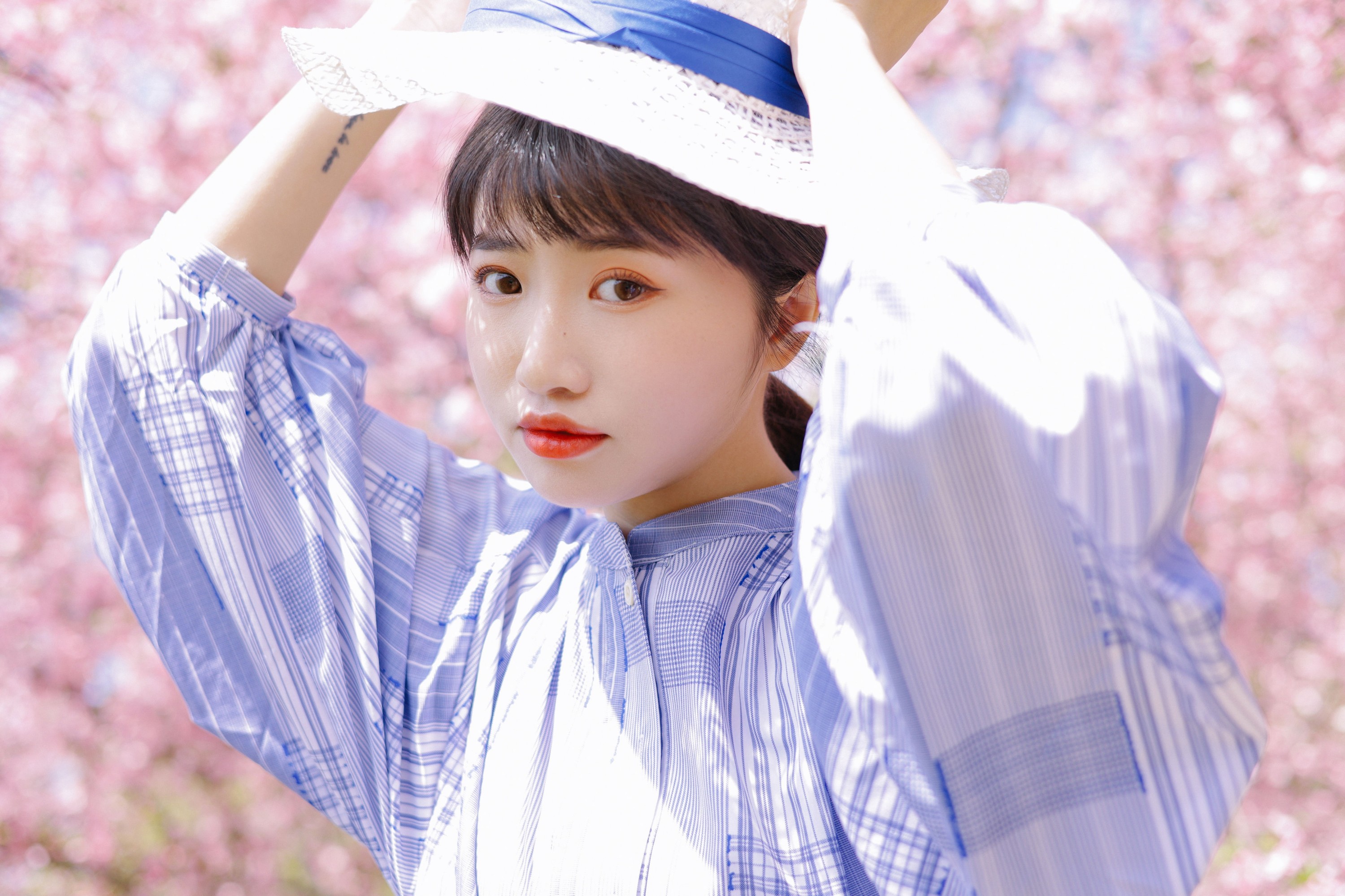 蓝胖子 – 《海棠花开》[36P]