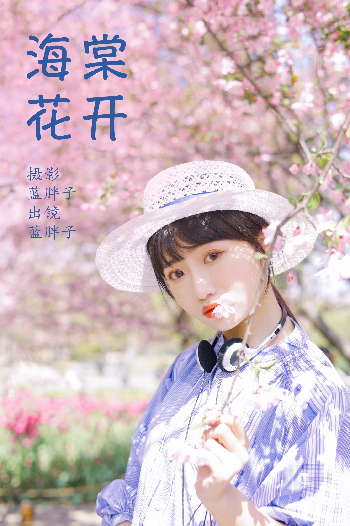 海棠花开