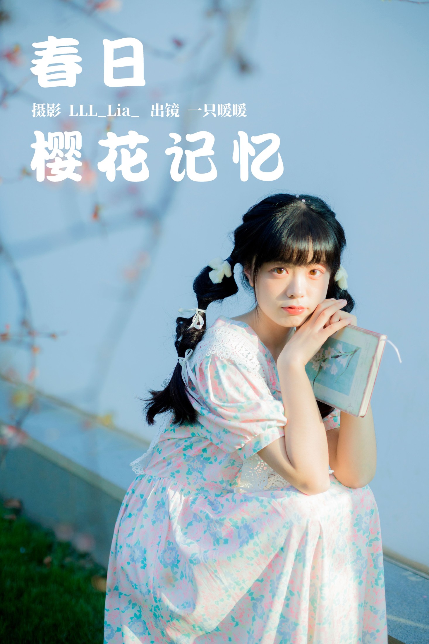 春日樱花记忆